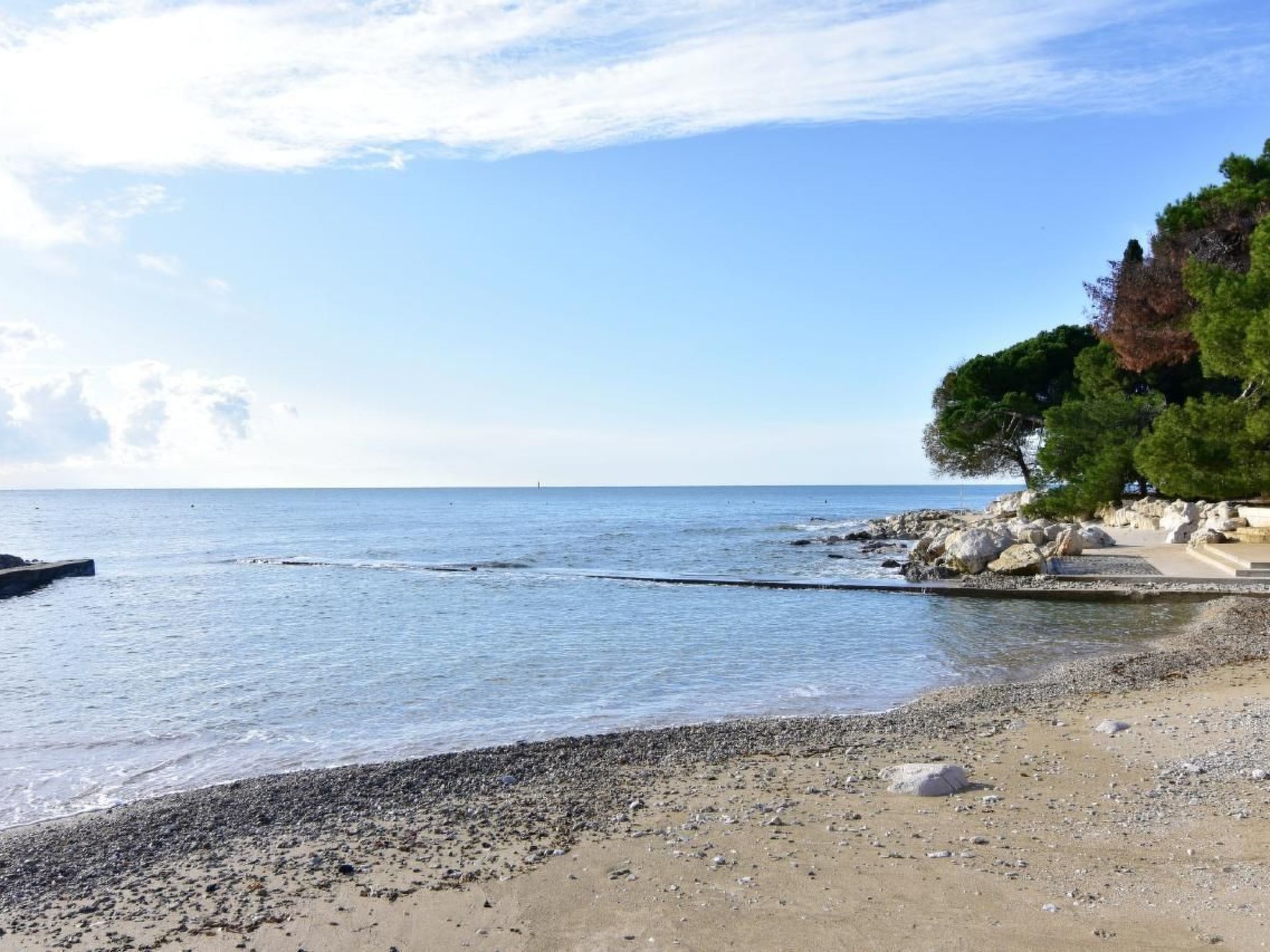 APP EVA-Image-tags.info