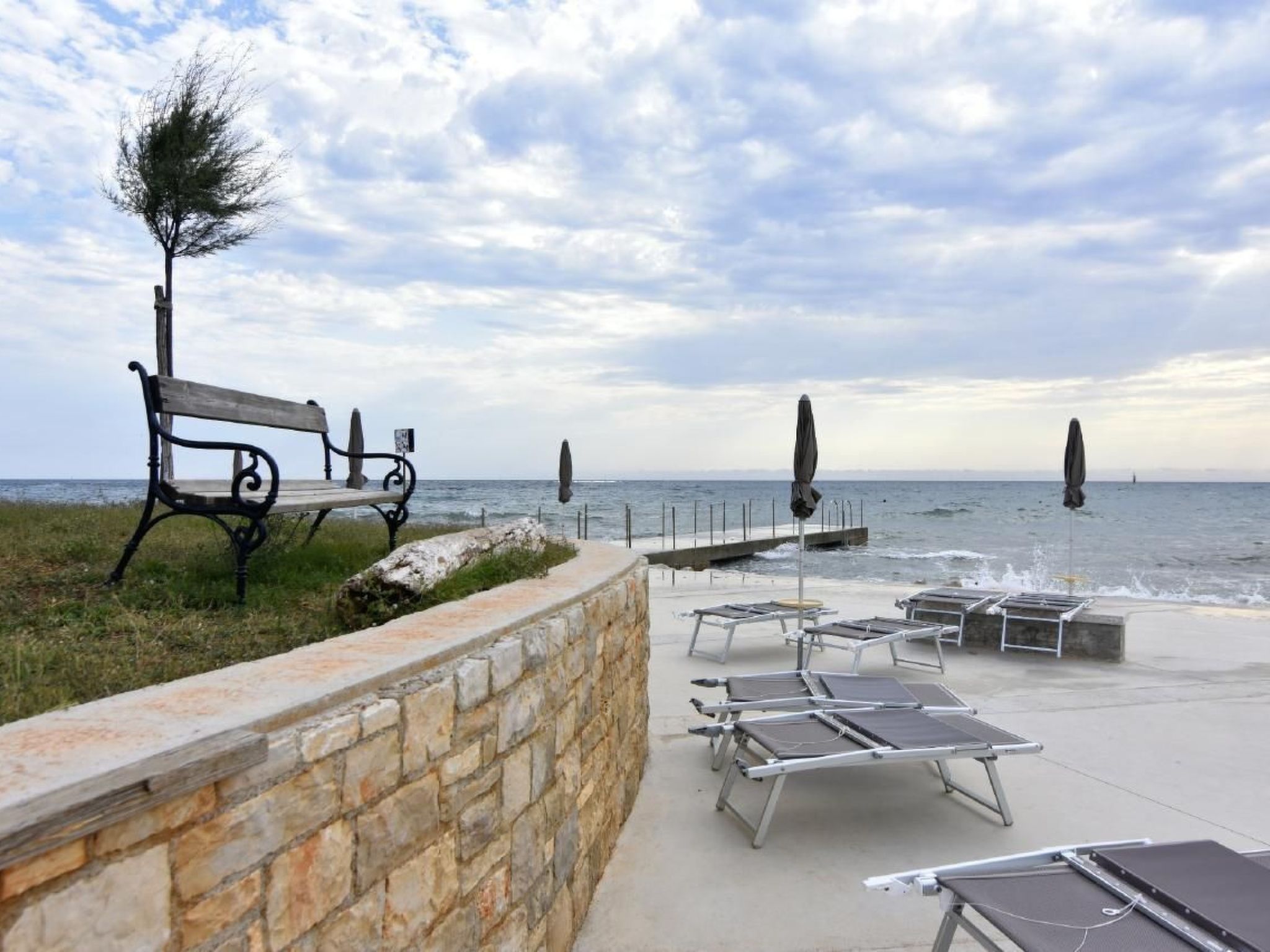 APP EVA-Image-tags.info