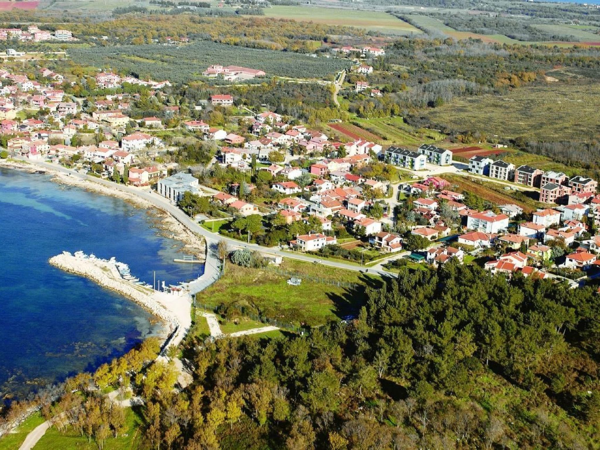 APP EVA-Image-tags.info