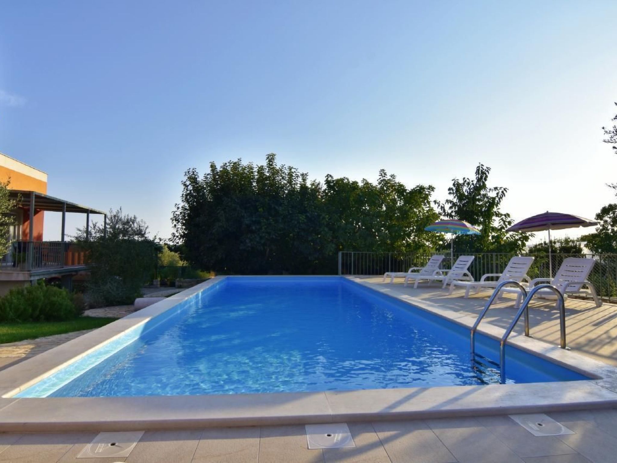 Joy of Olive-Image-tags.info