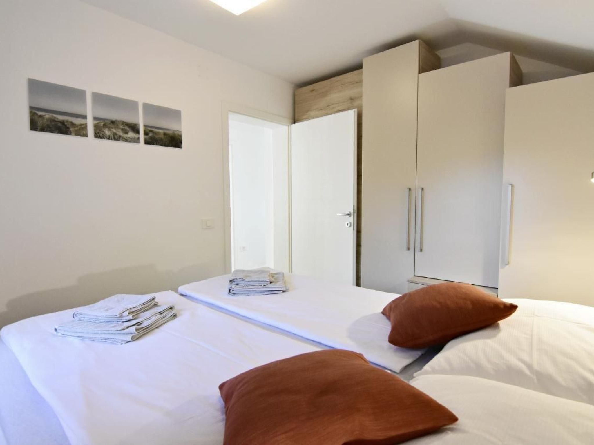 Joy of Olive-Image-tags.info