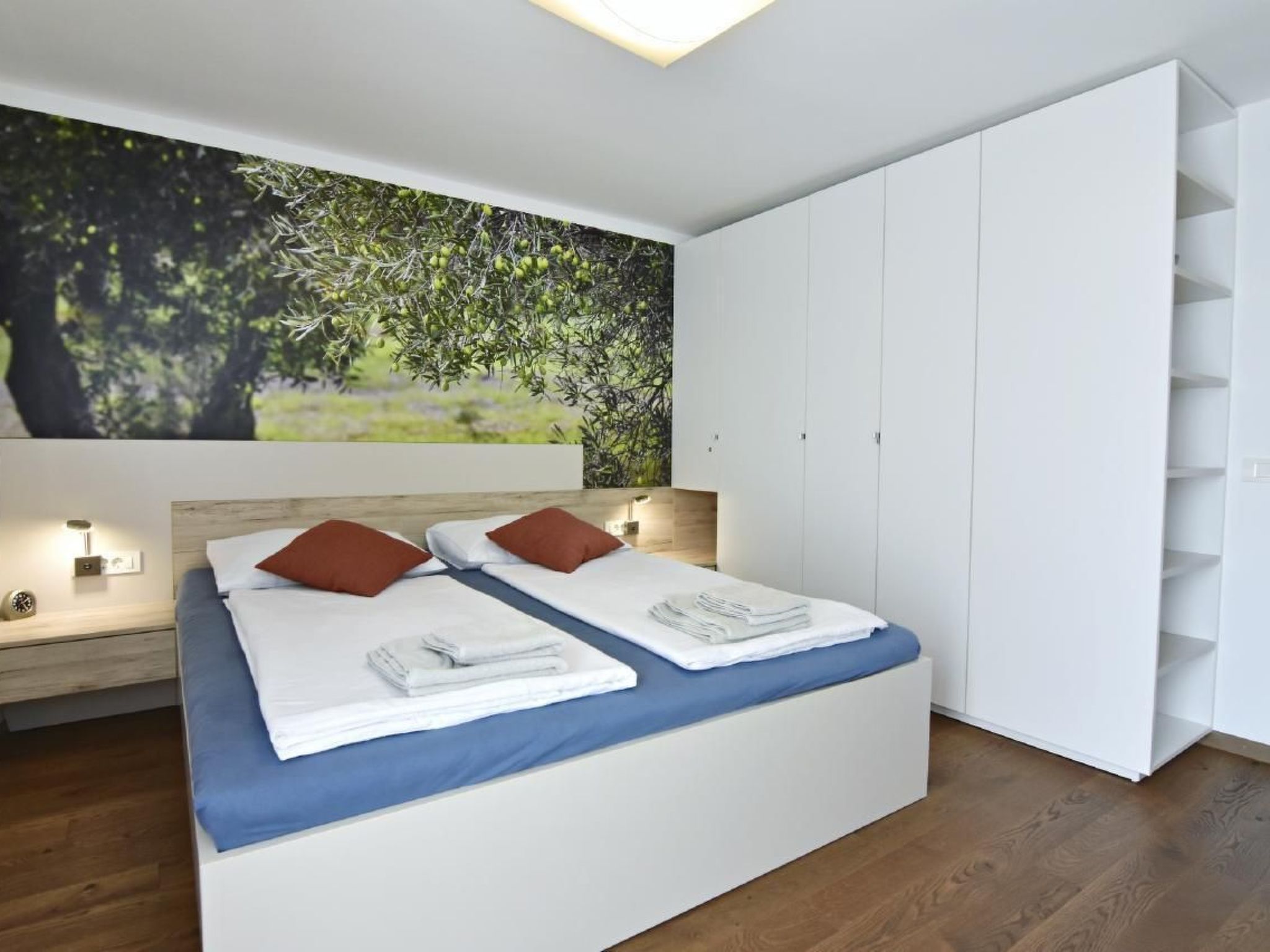 Joy of Olive-Image-tags.info