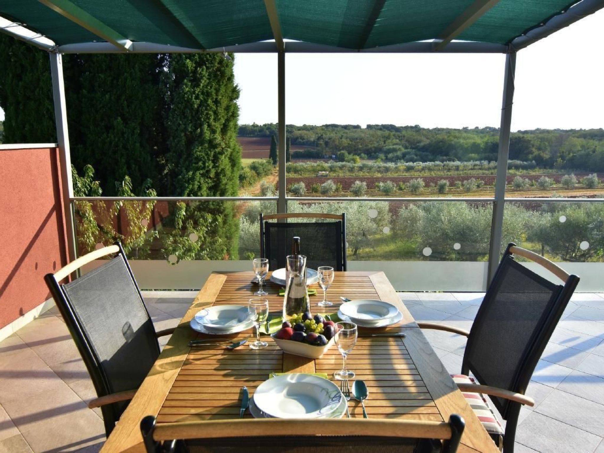 Joy of Olive-Image-tags.info