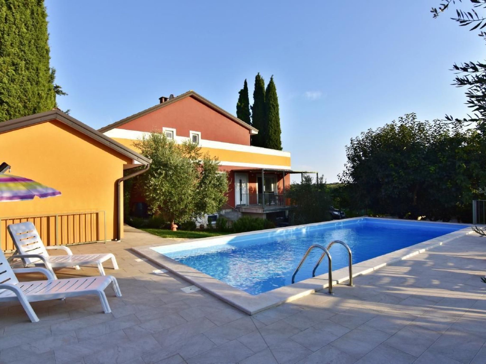 Joy of Olive-Image-tags.info