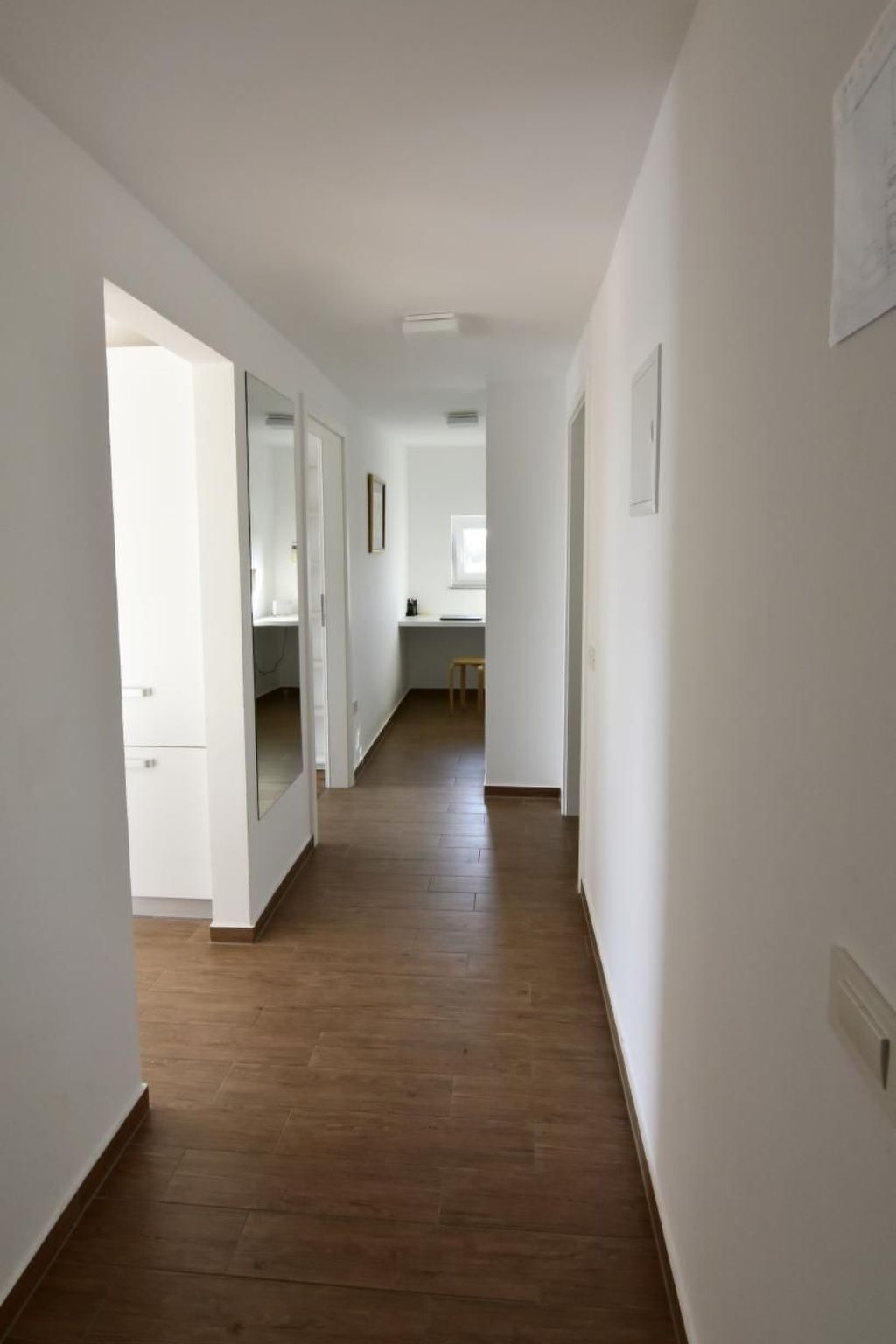 Joy of Olive-Image-tags.info