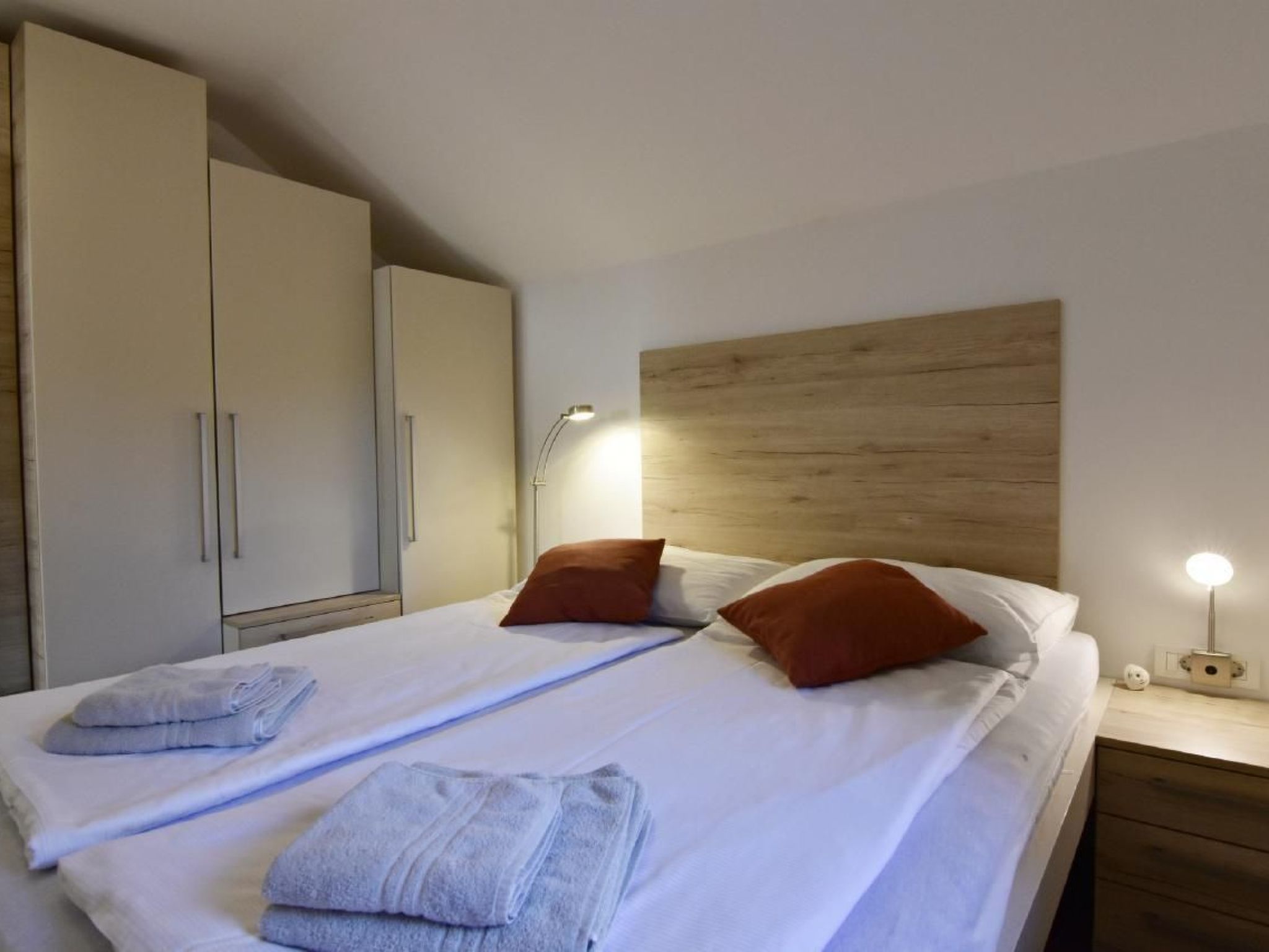 Joy of Olive-Image-tags.info