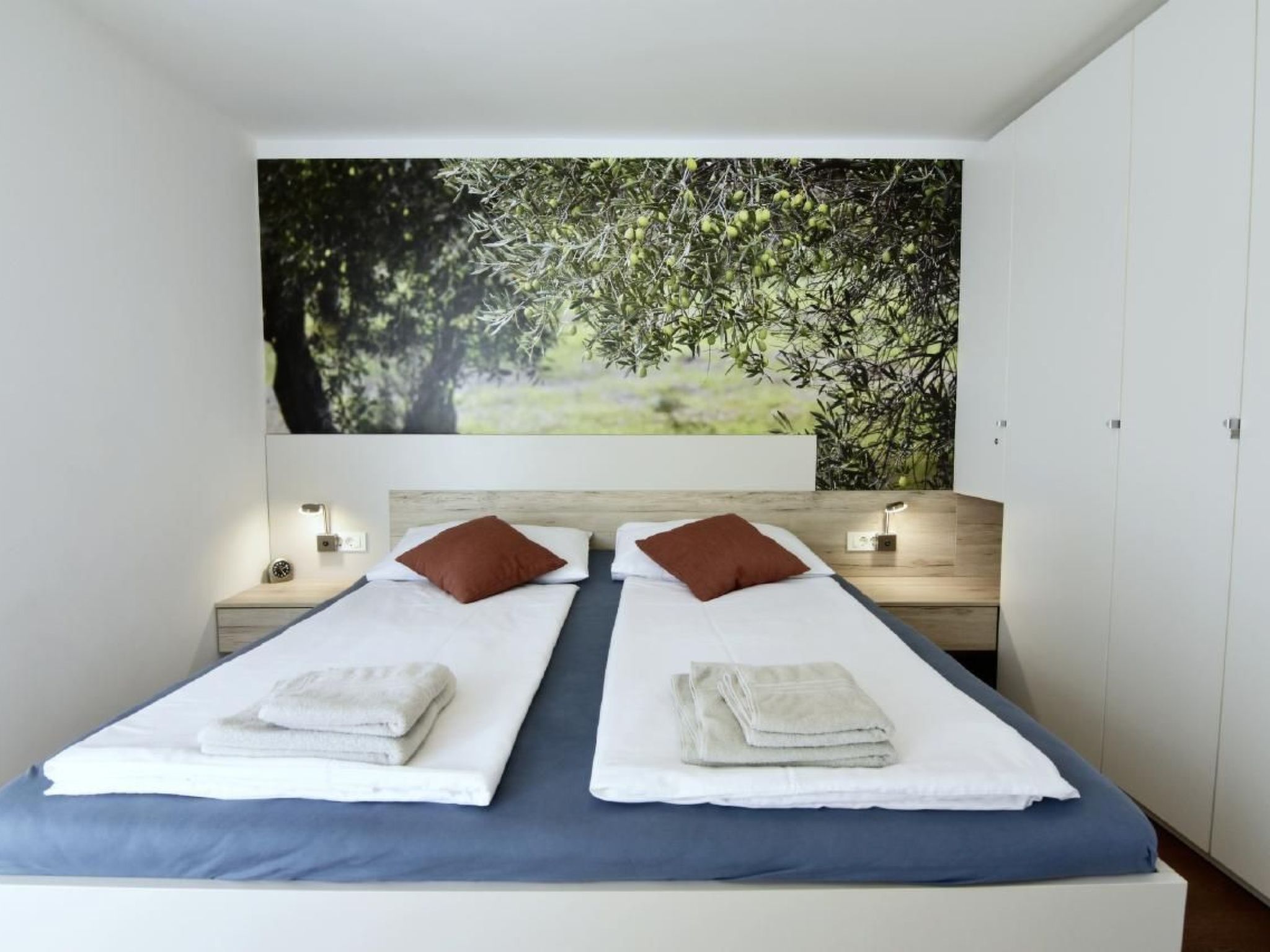 Joy of Olive-Image-tags.info