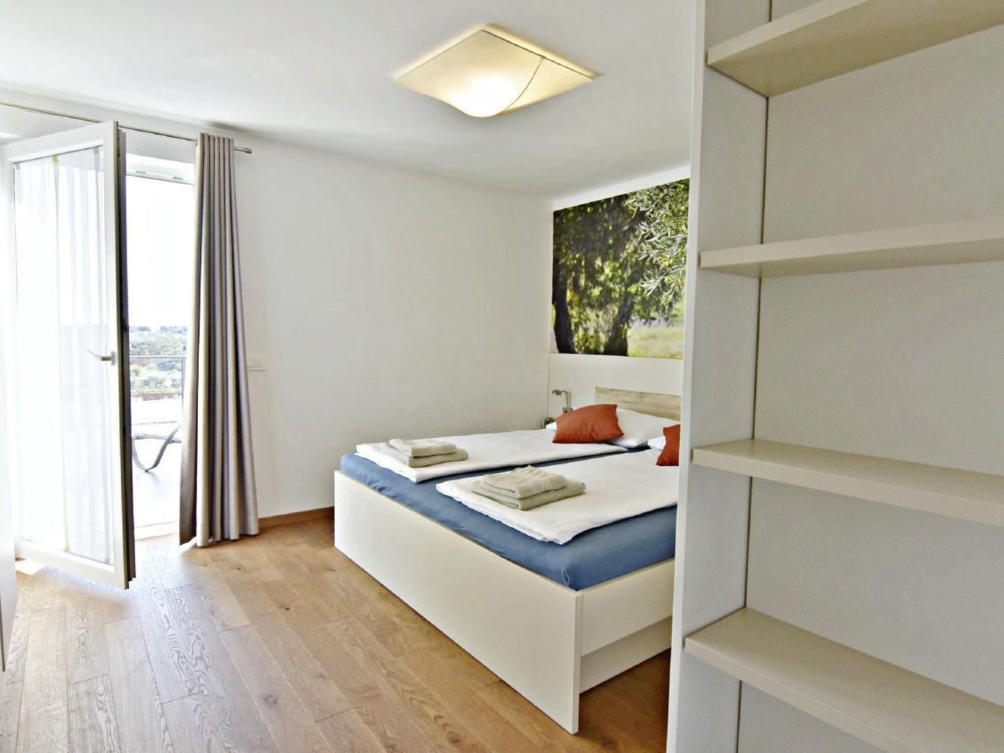 Joy of Olive-Image-tags.info