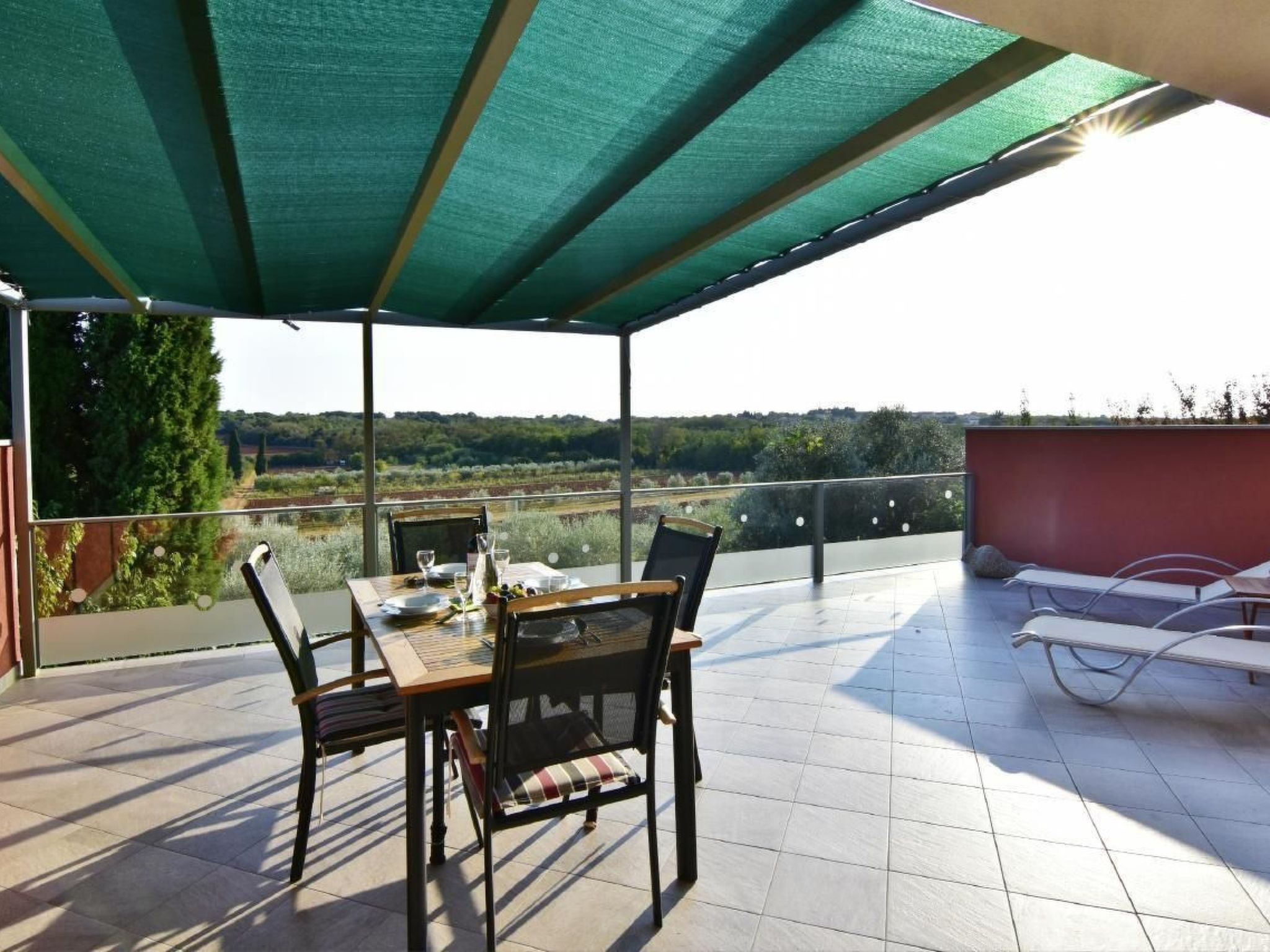 Joy of Olive-Image-tags.info