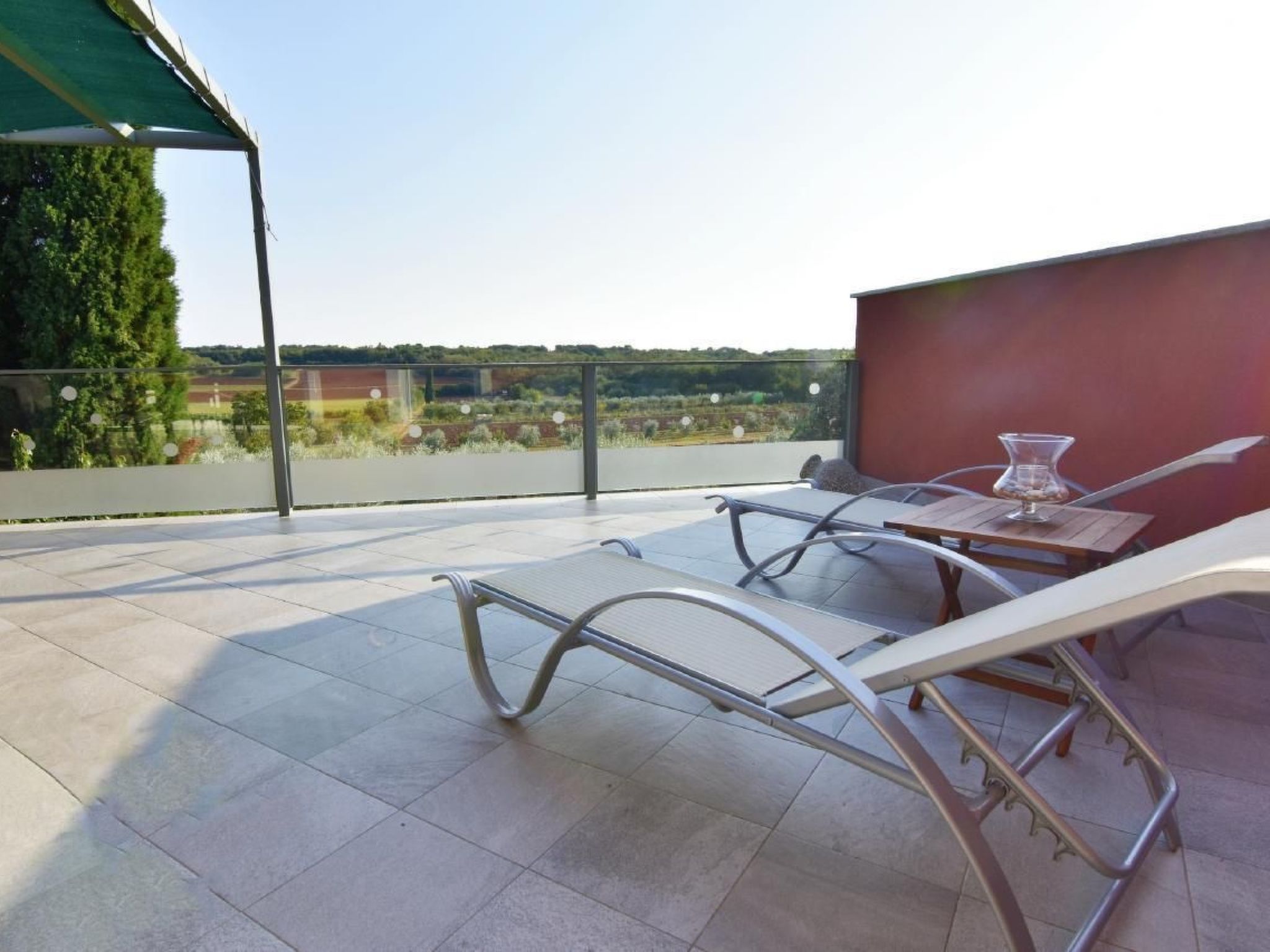 Joy of Olive-Image-tags.info