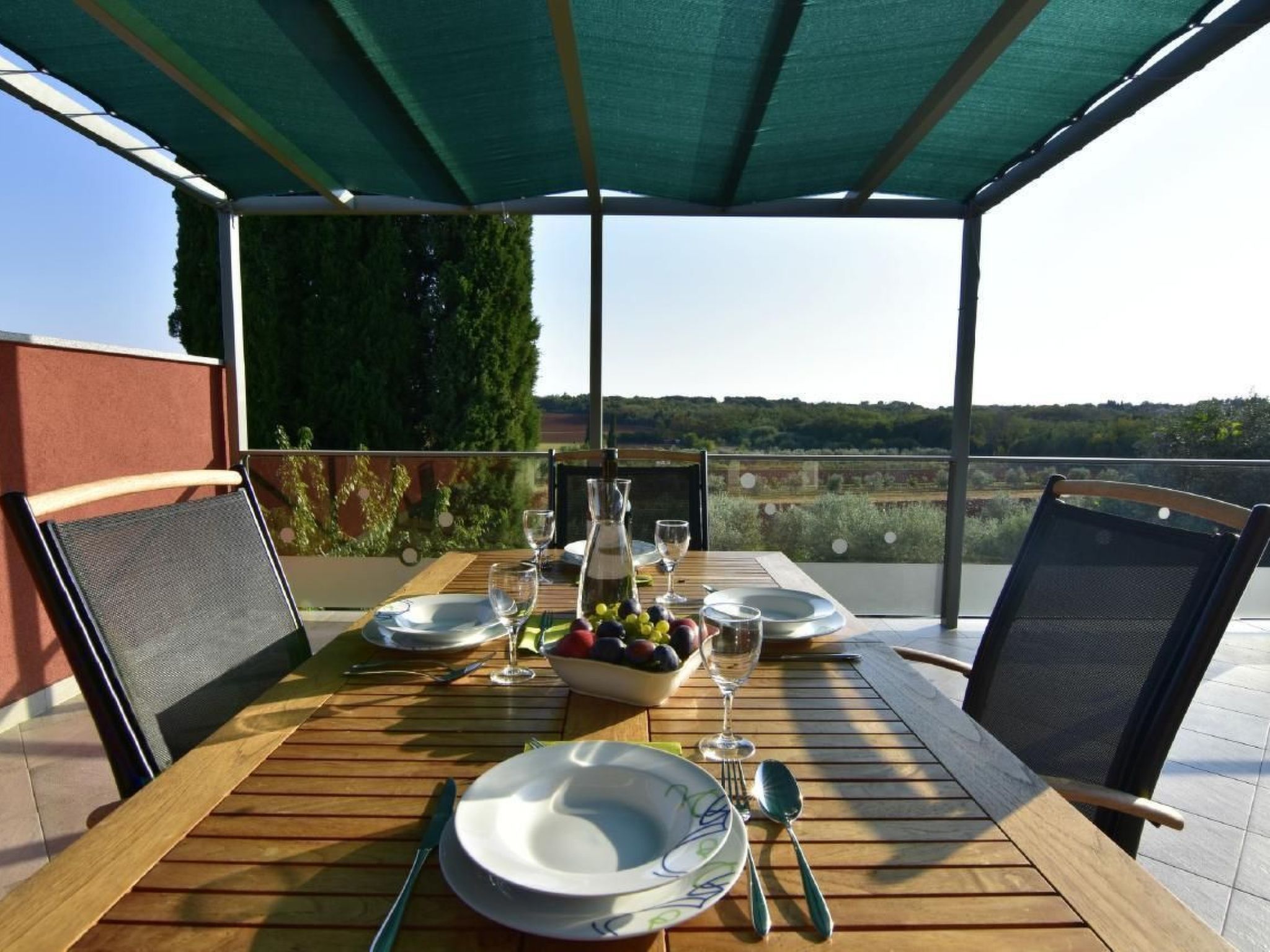 Joy of Olive-Image-tags.info