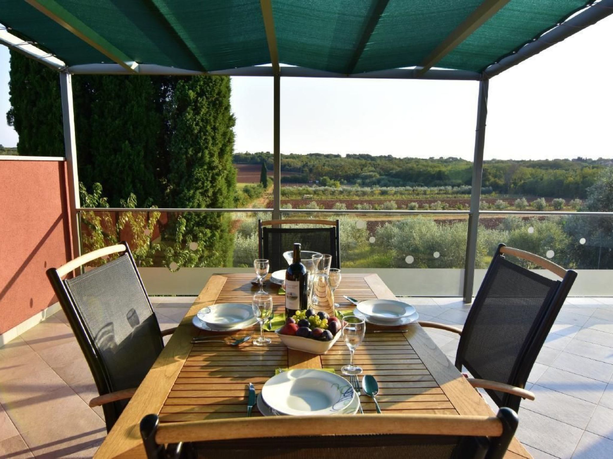 Joy of Olive-Image-tags.info