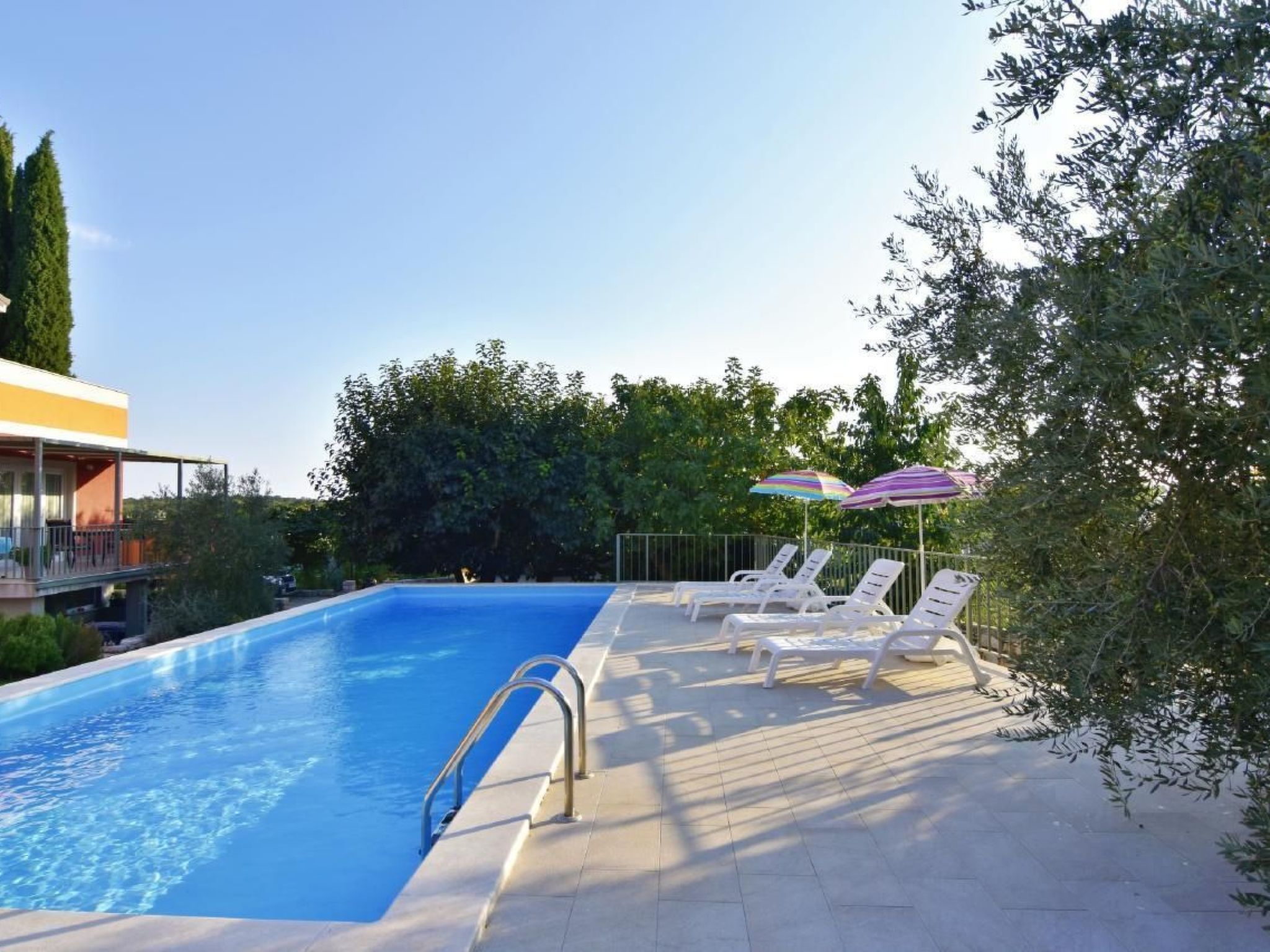 Joy of Olive-Image-tags.info