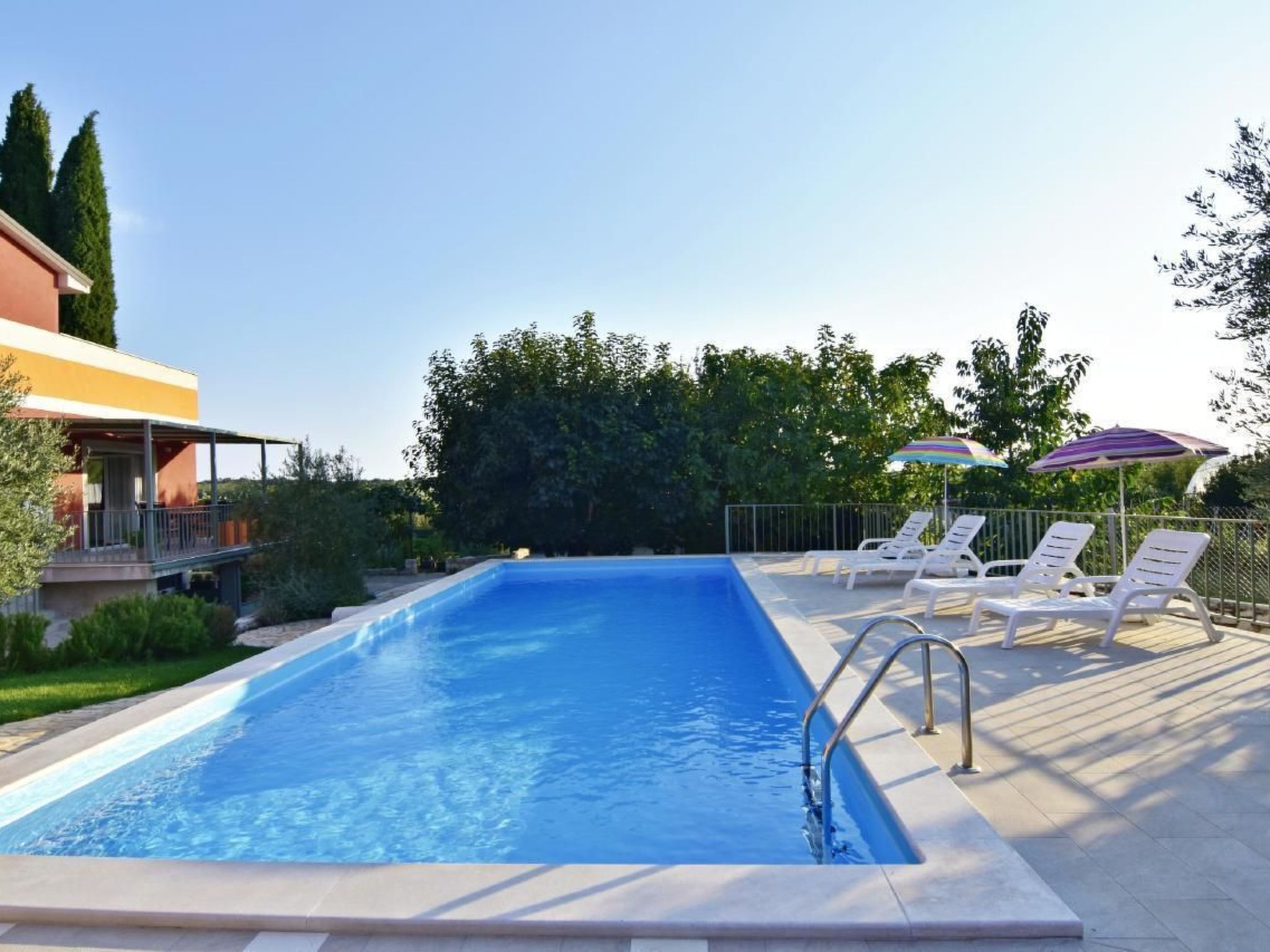 Joy of Olive-Image-tags.info