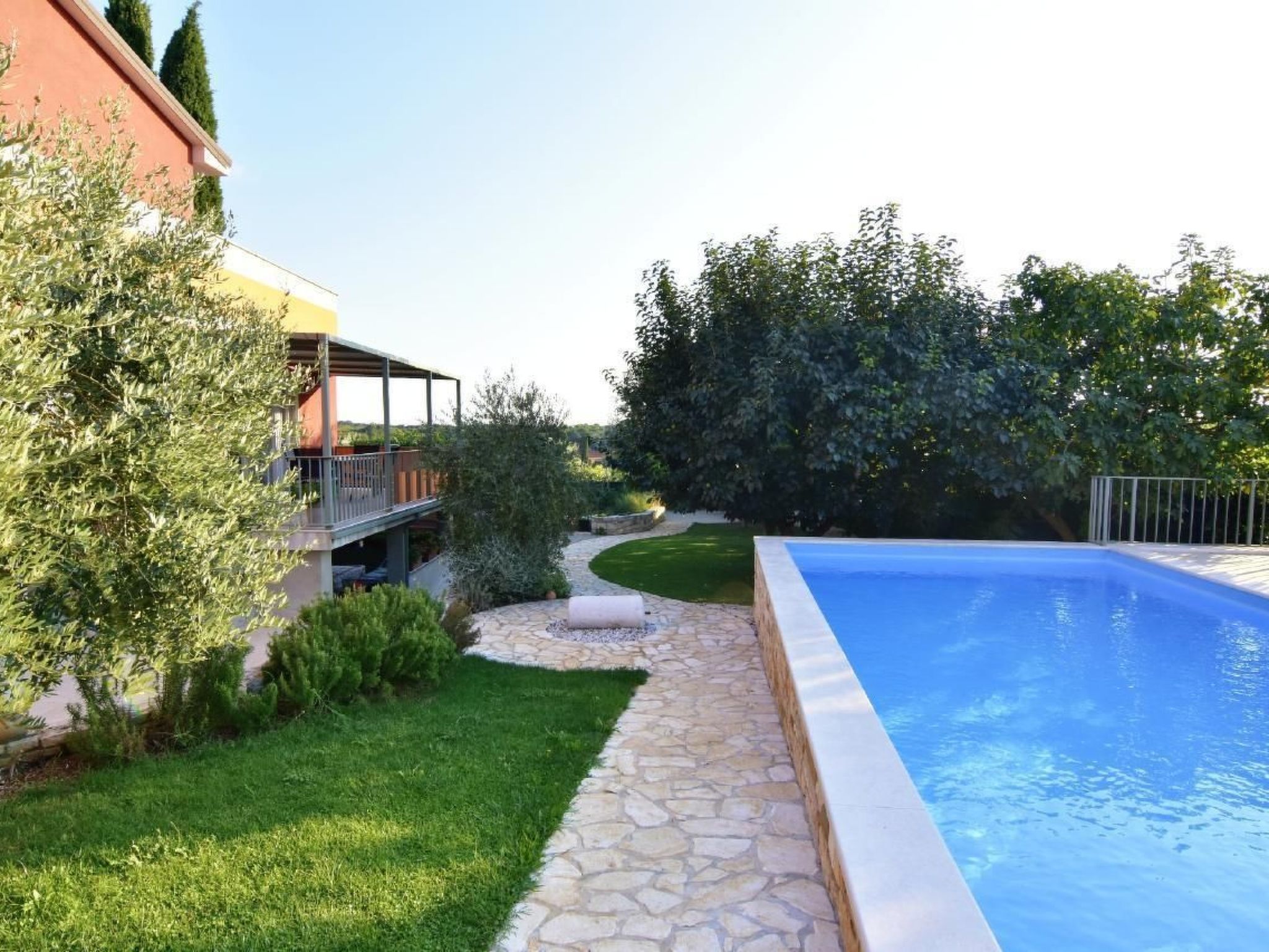 Joy of Olive-Image-tags.info