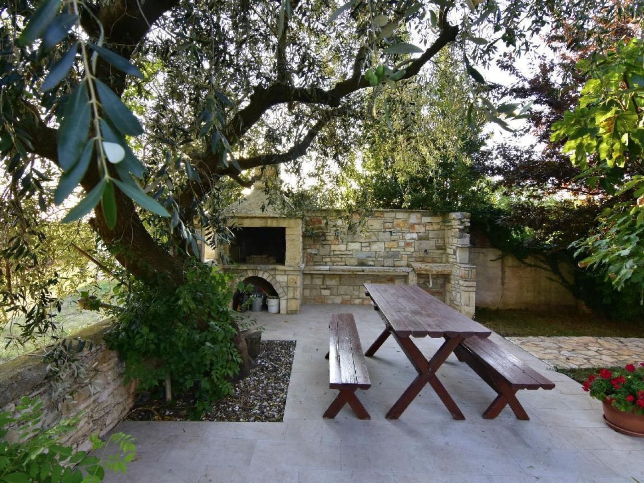 Joy of Olive-Image-tags.info