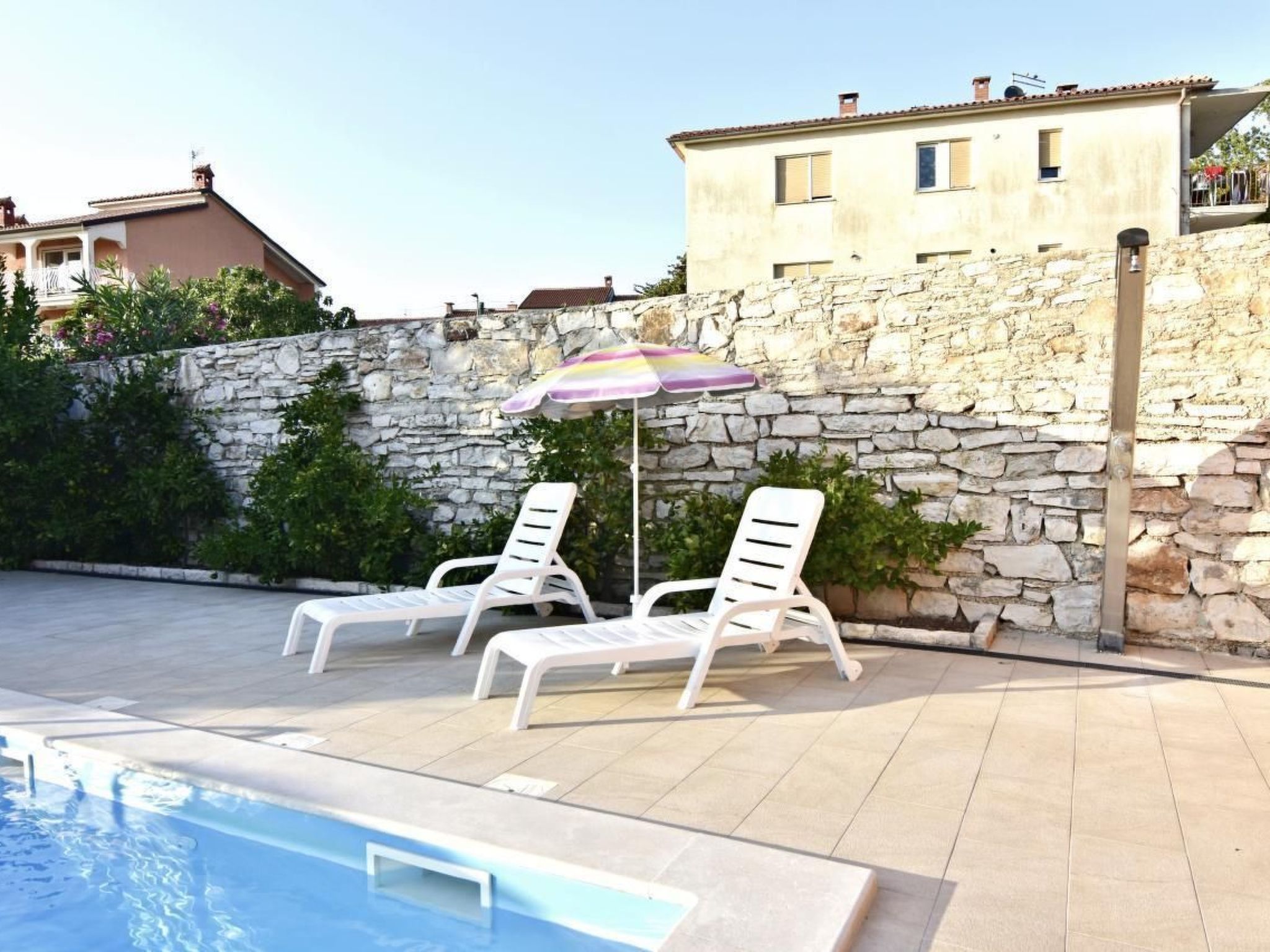 Joy of Olive-Image-tags.info