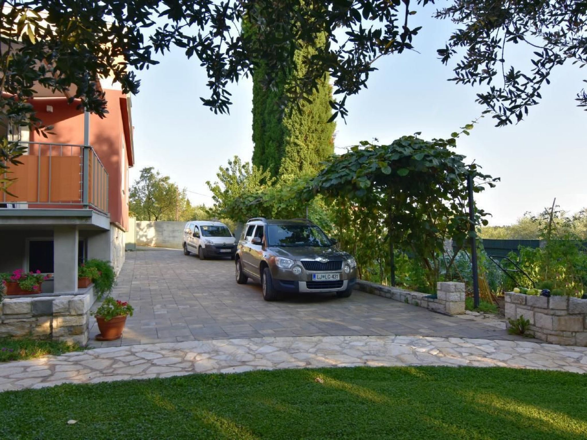 Joy of Olive-Image-tags.info