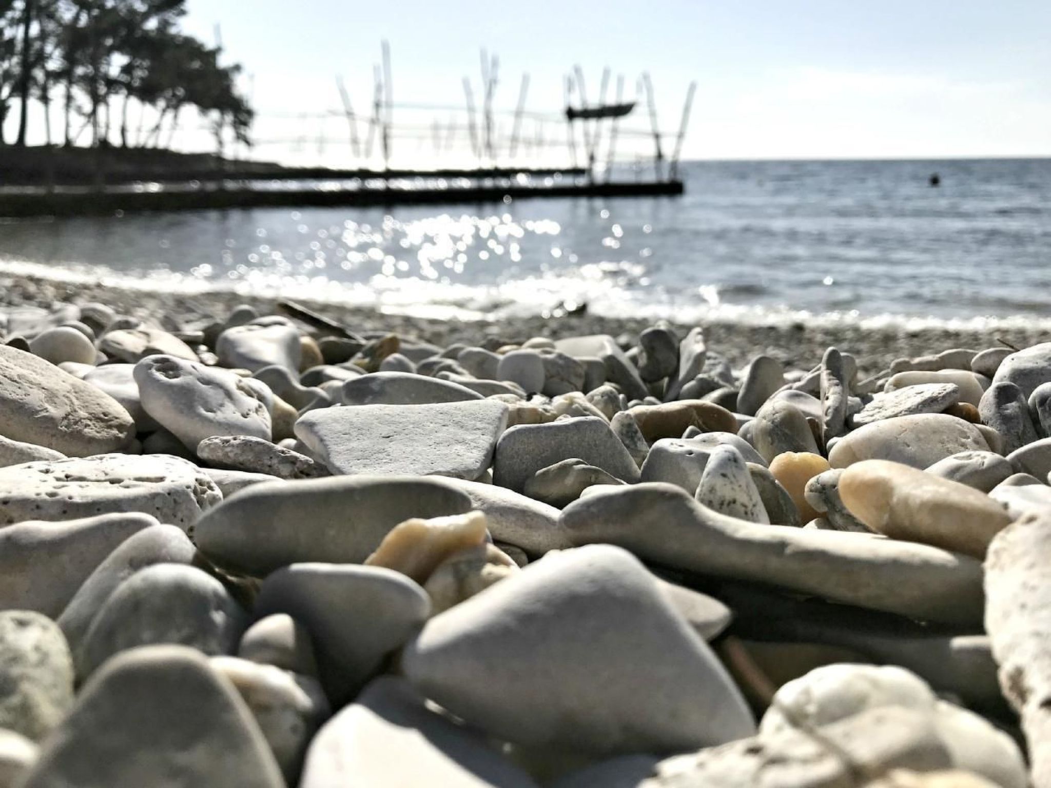 Joy of Olive-Image-tags.info