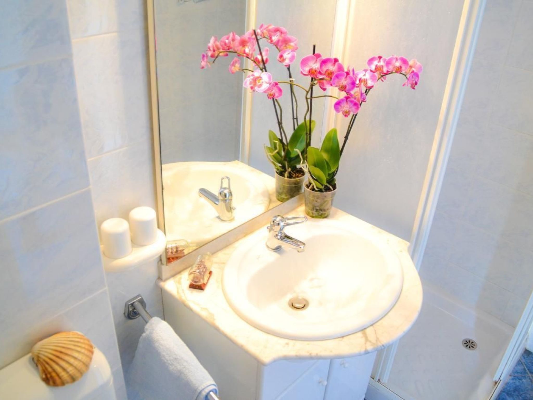 Studio TONI-Image-tags.info