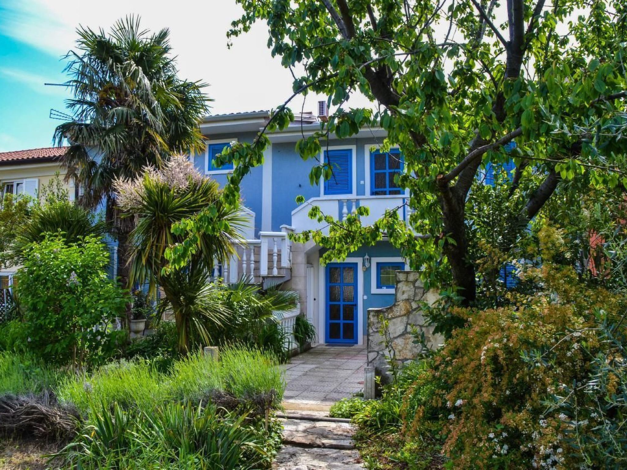 Studio TONI-Image-tags.info