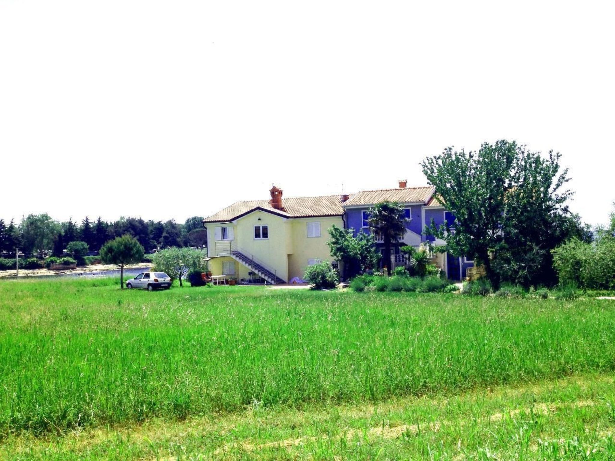 Studio TONI-Image-tags.info