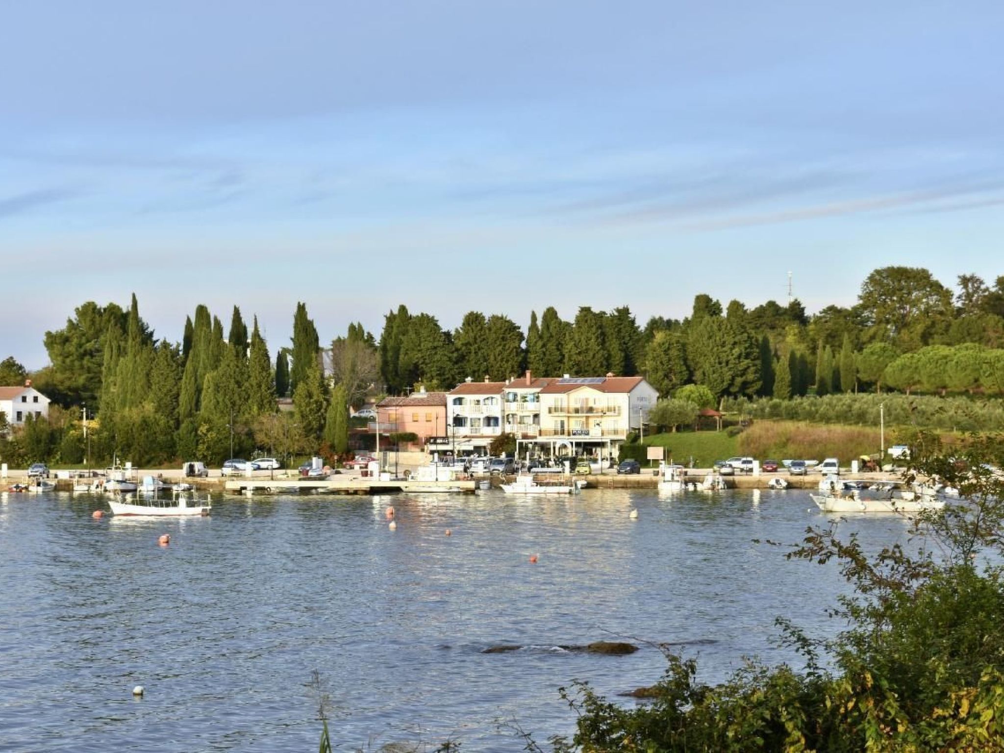 Studio TONI-Image-tags.info