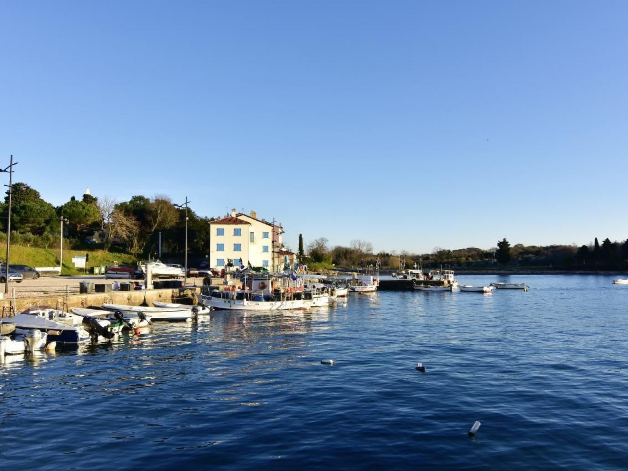 Studio TONI-Image-tags.info