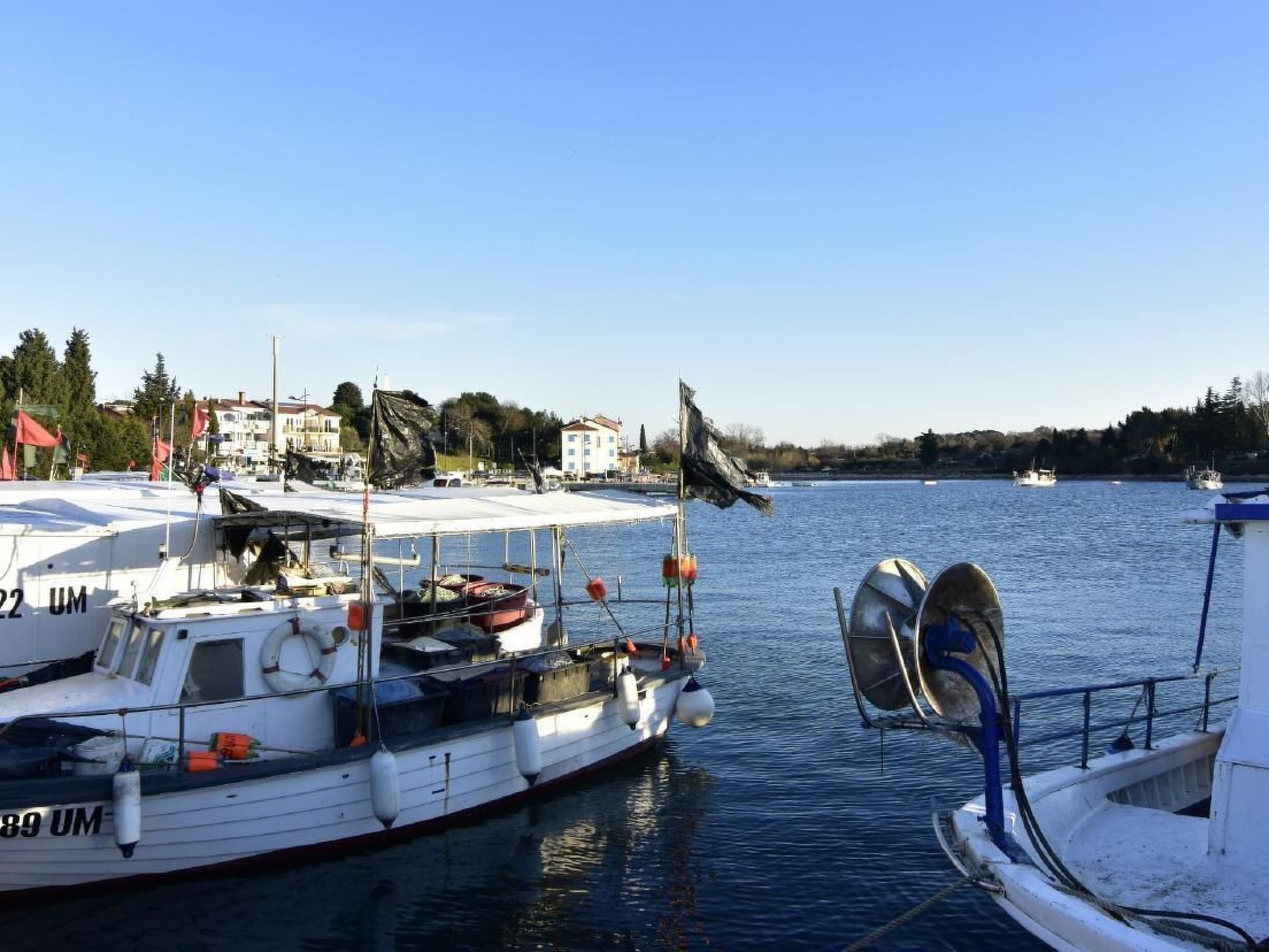 Studio TONI-Image-tags.info