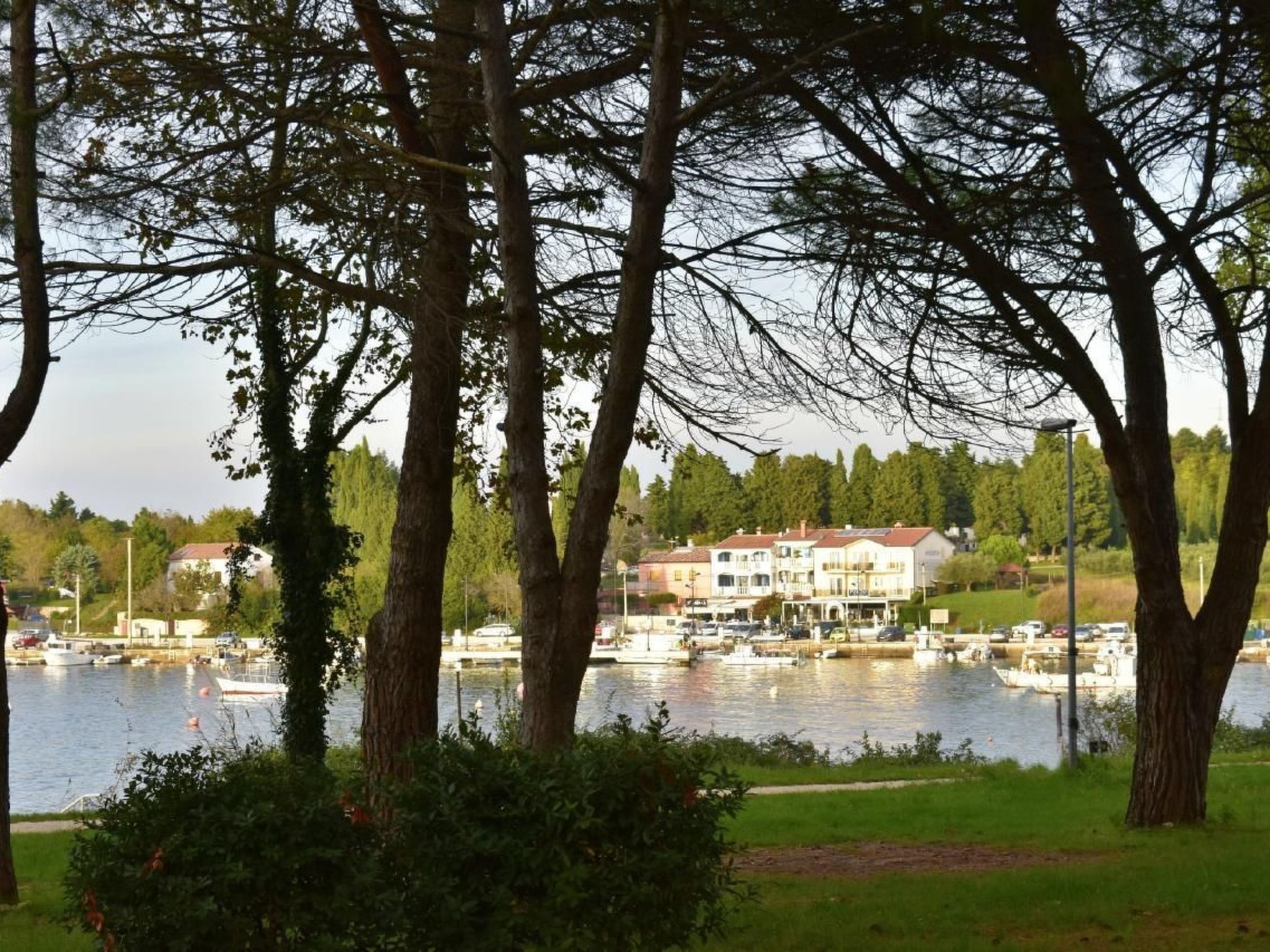 Studio TONI-Image-tags.info