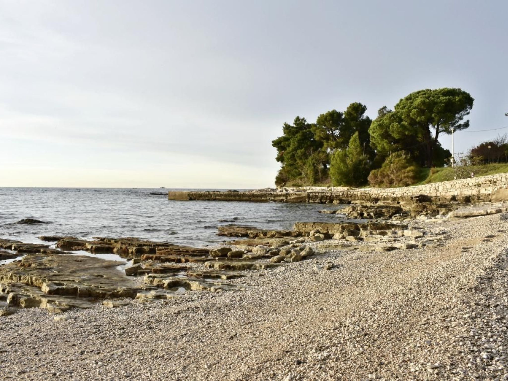 Studio TONI-Image-tags.info