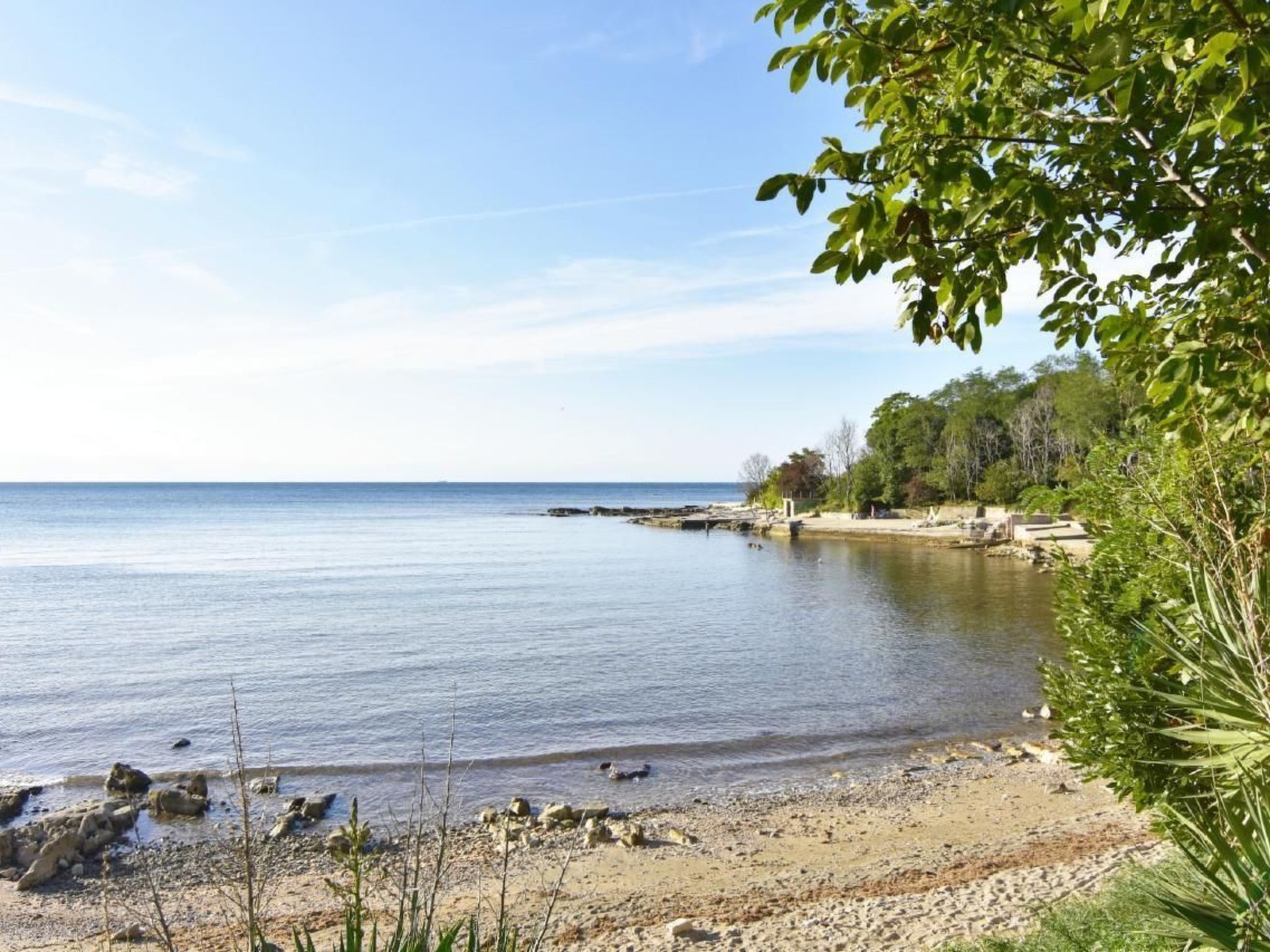 Studio TONI-Image-tags.info