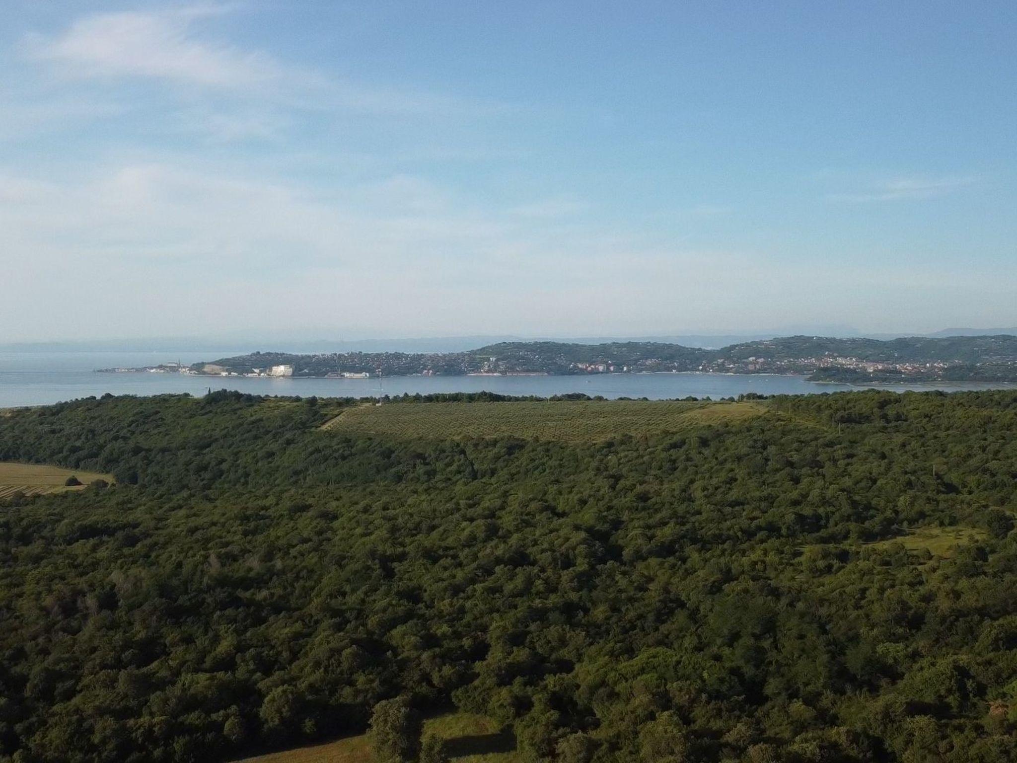 Vrijstaand vakantiehuis met terras op golfresort bij Umag, Istrië - foto 34