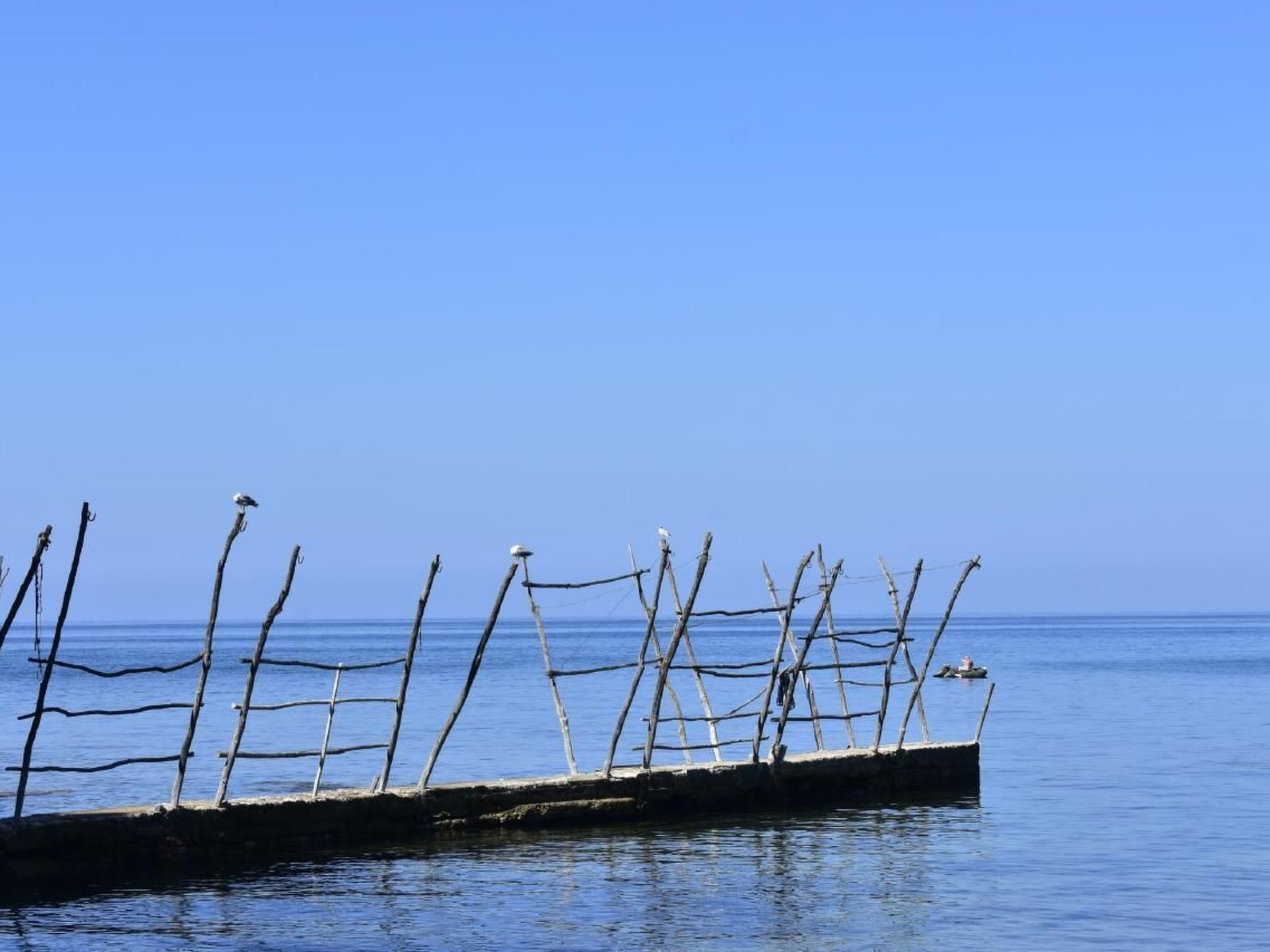 In Savudrija mit Privatem Garten und Panoramablick-Image-tags.info