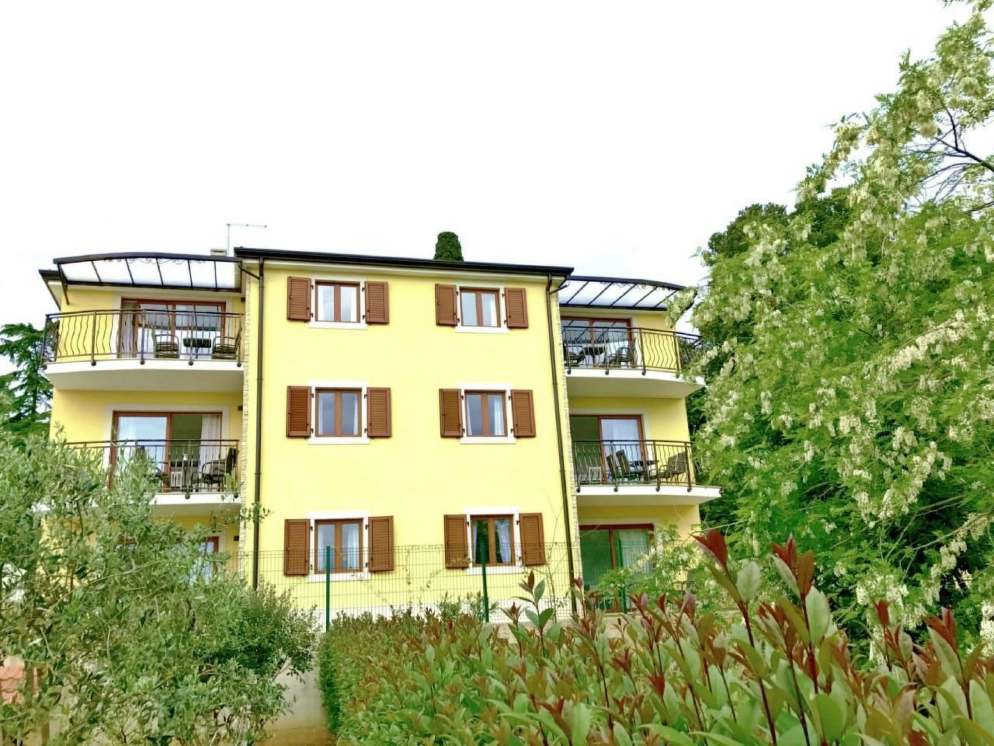 Elia 2-Image-tags.info