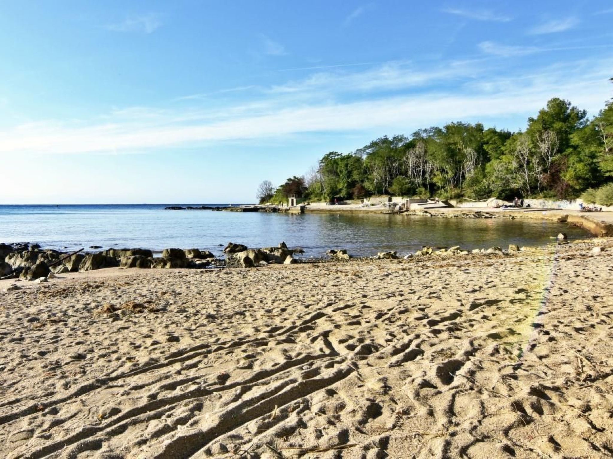 Elia 2-Image-tags.info