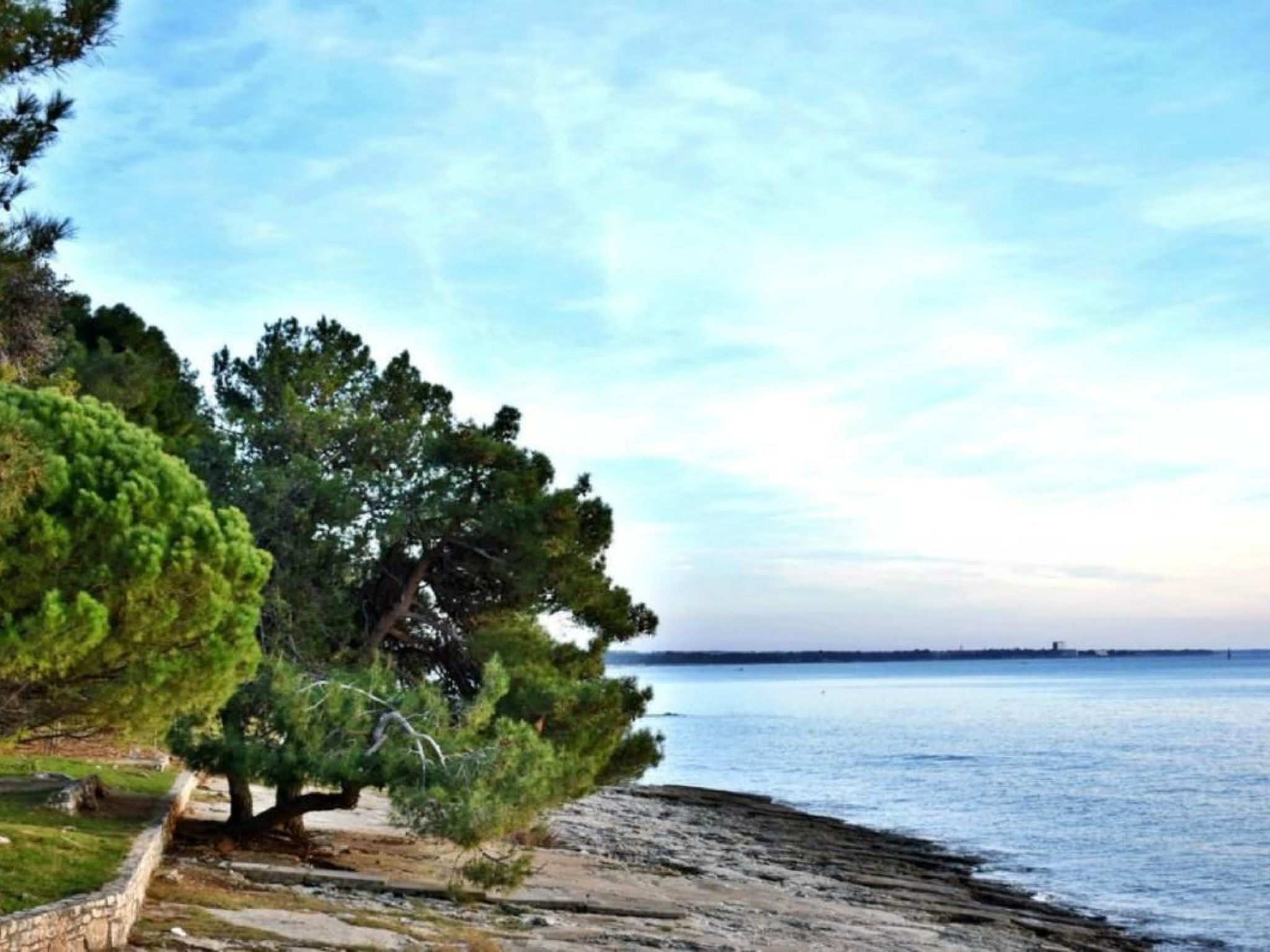 Elia 2-Image-tags.info