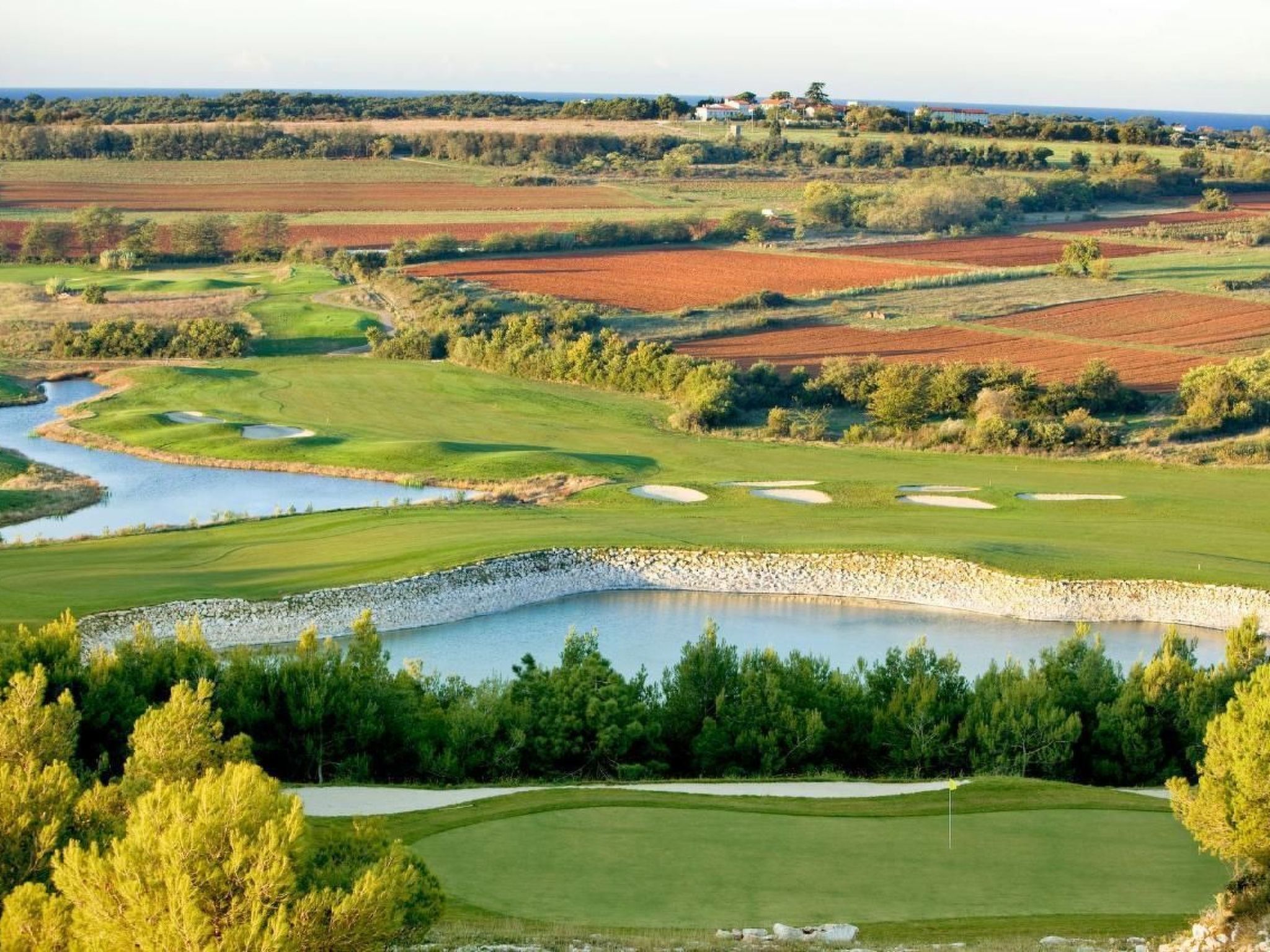 Elia 2-Image-tags.info