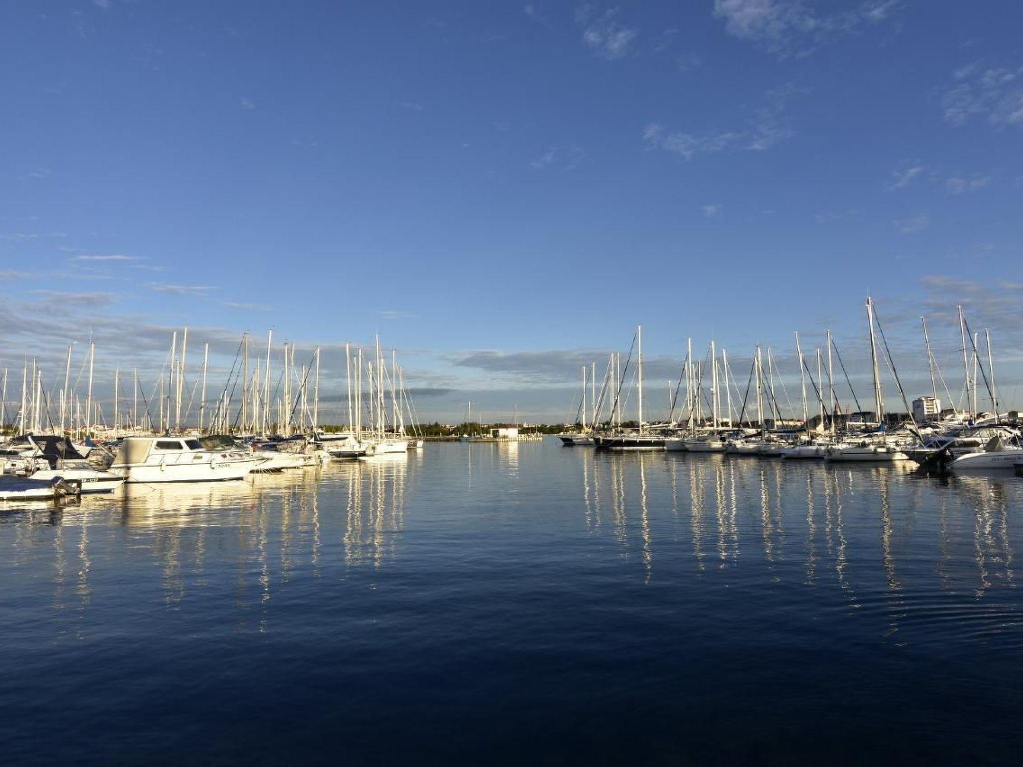 Elia 2-Image-tags.info