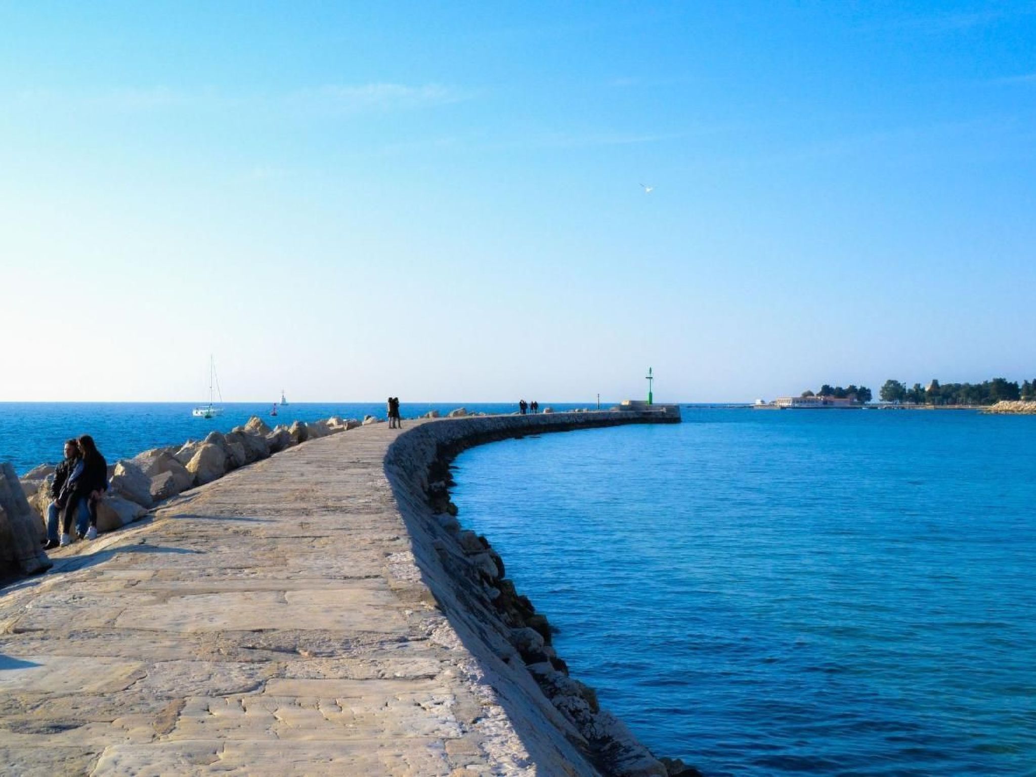 Elia 2-Image-tags.info