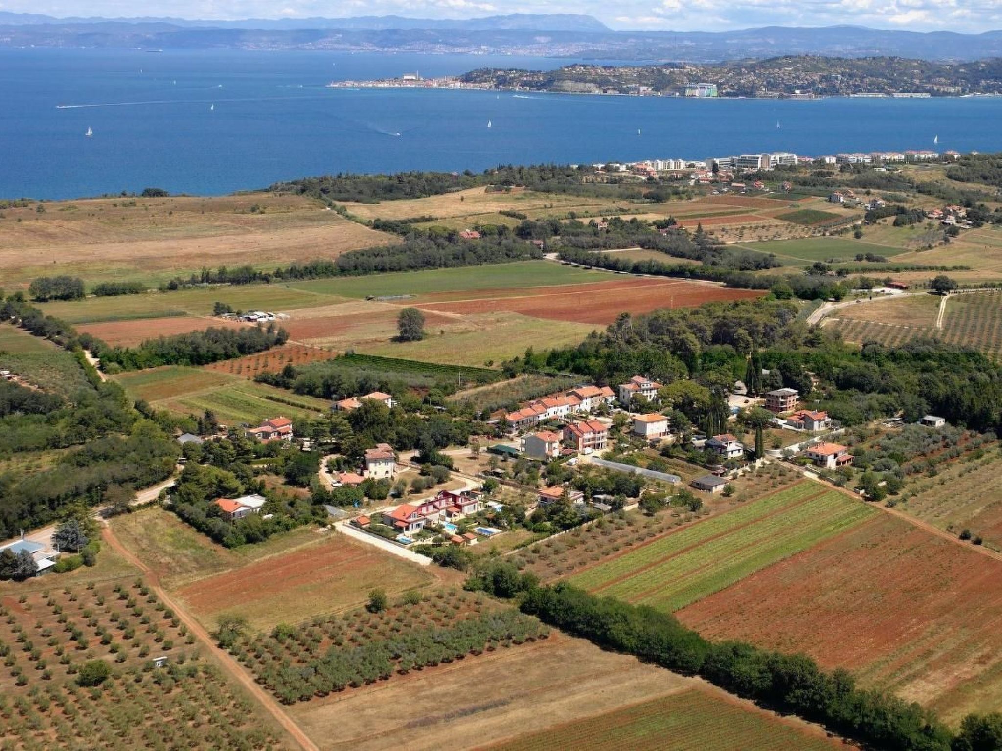 Elia 3-Image-tags.info