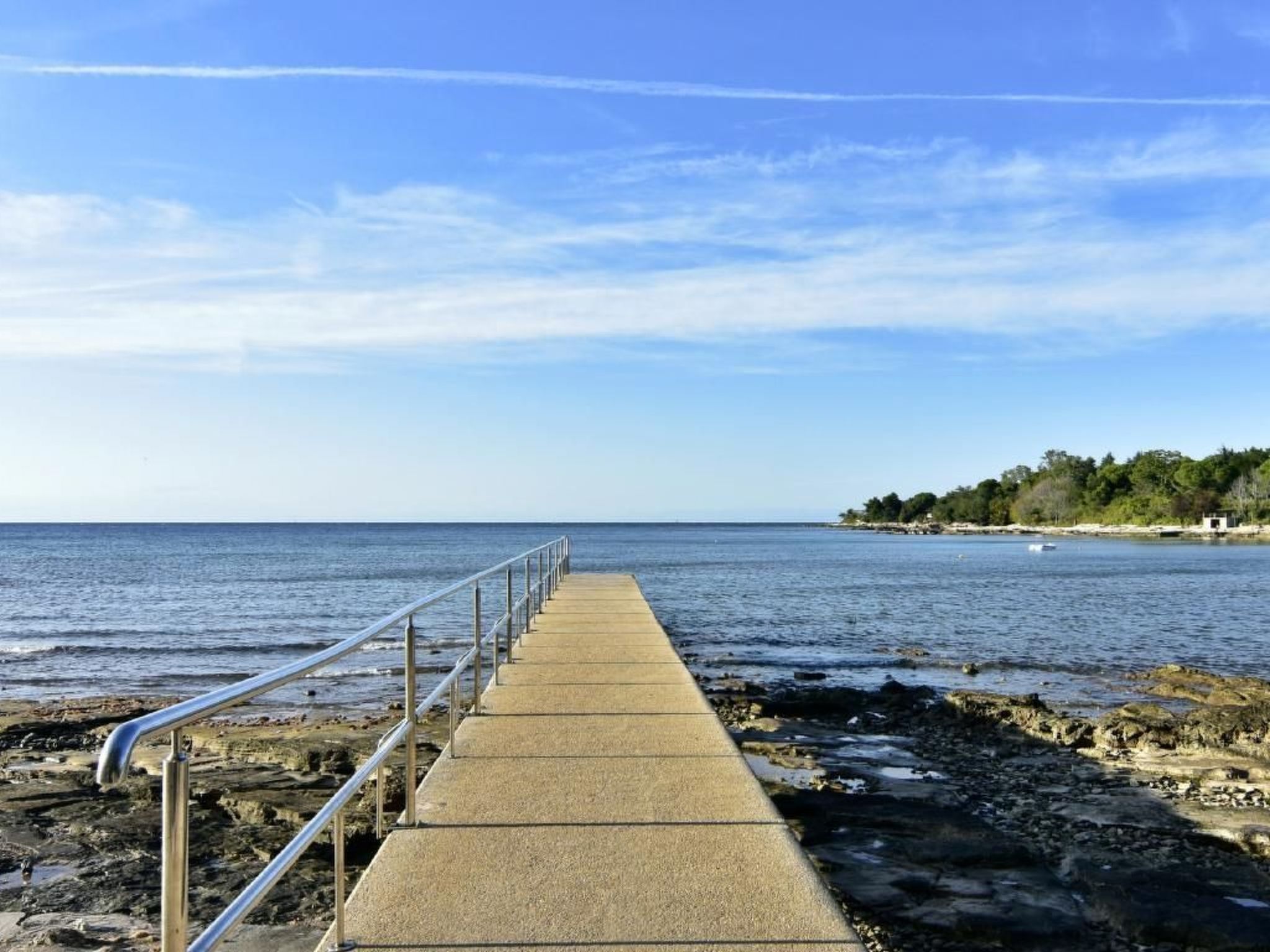 Elia 3-Image-tags.info