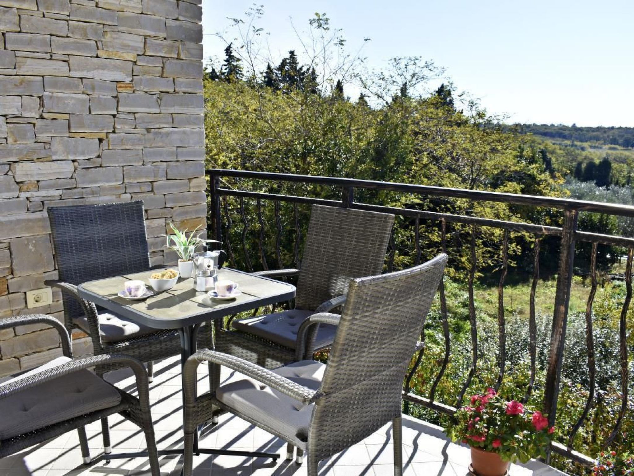 Elia 4-Image-tags.info