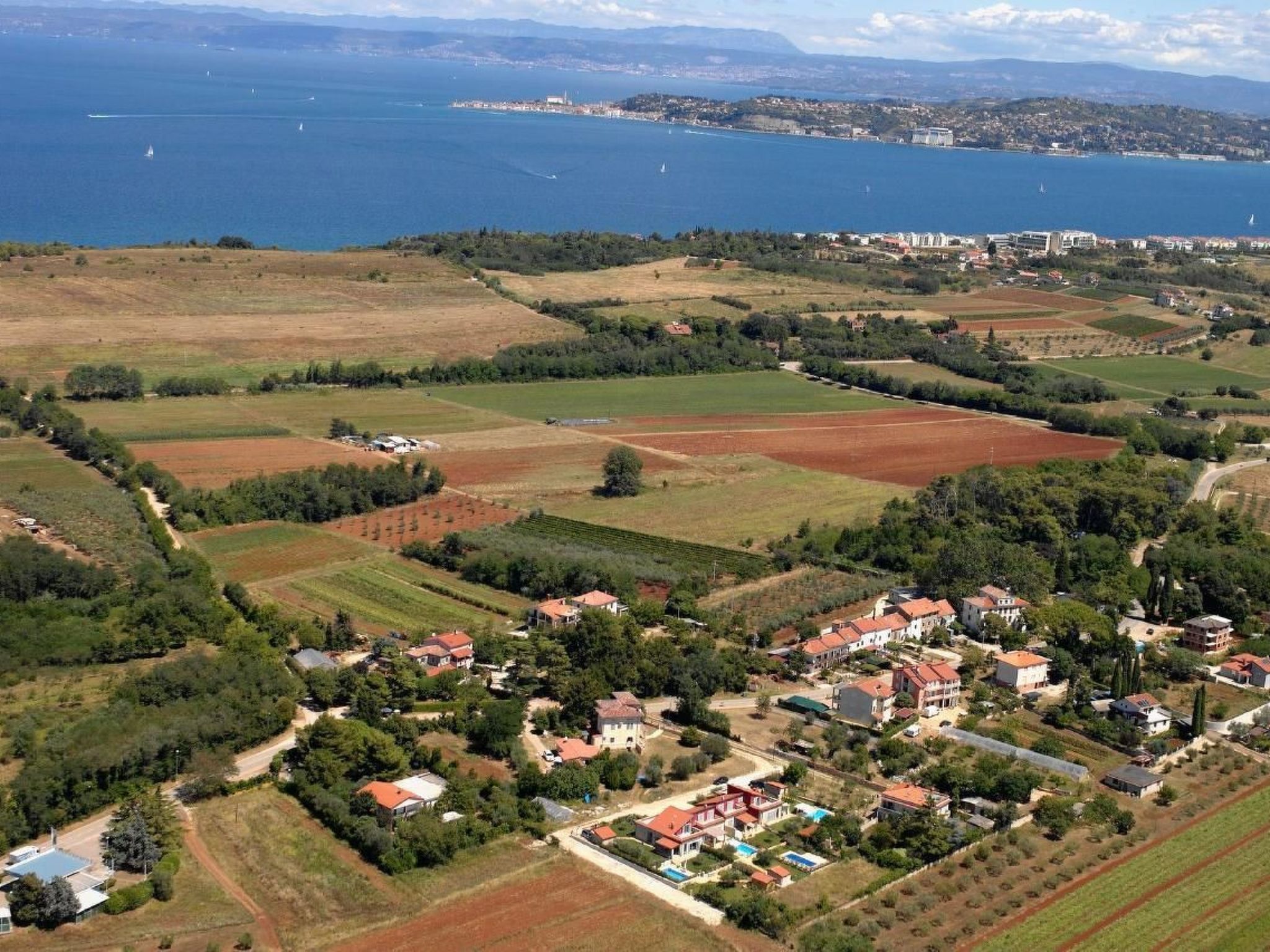 Elia 4-Image-tags.info