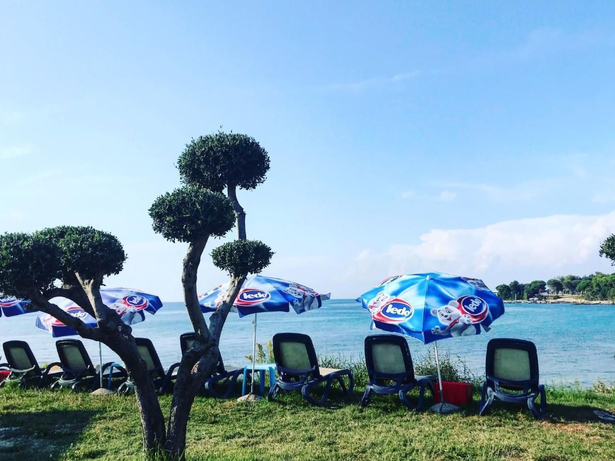 Elia 4-Image-tags.info