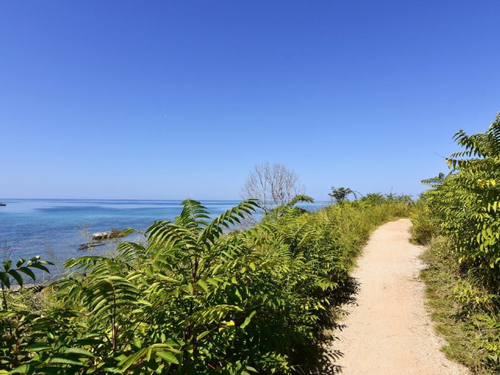 Elia 4-Image-tags.info