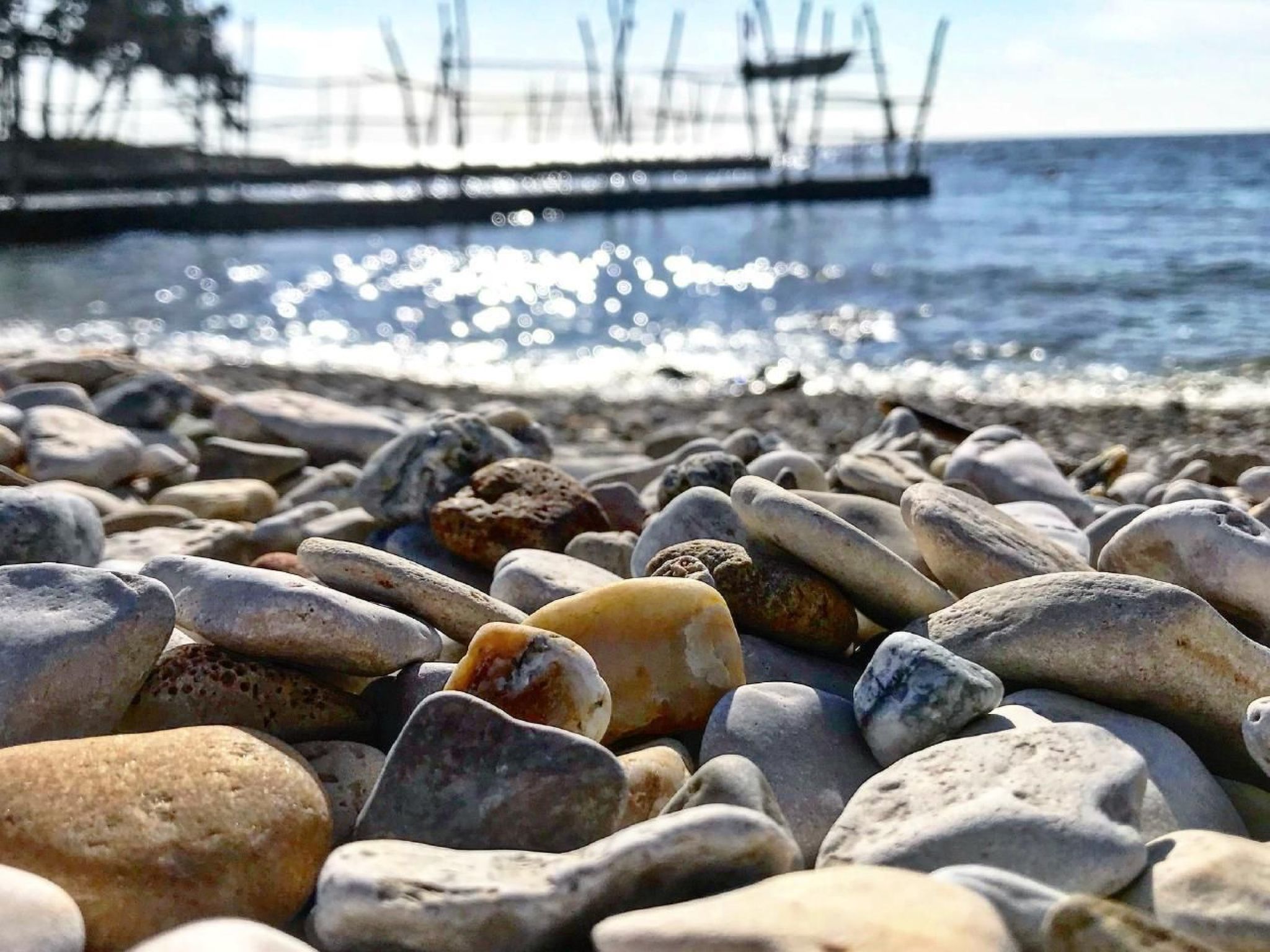 Elia 4-Image-tags.info