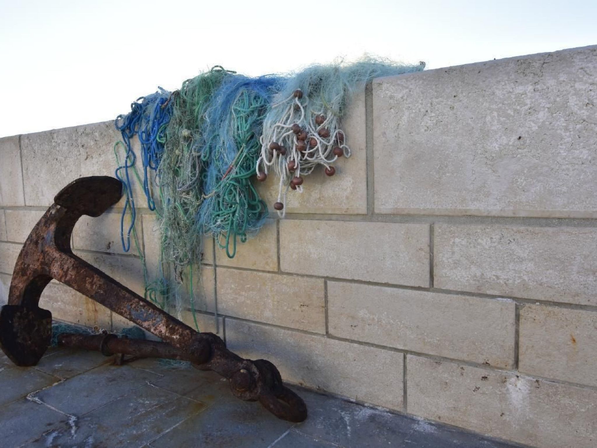 Elia 4-Image-tags.info