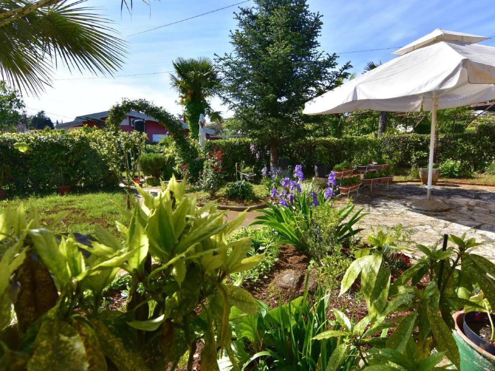 NEŽA B4-Image-tags.info