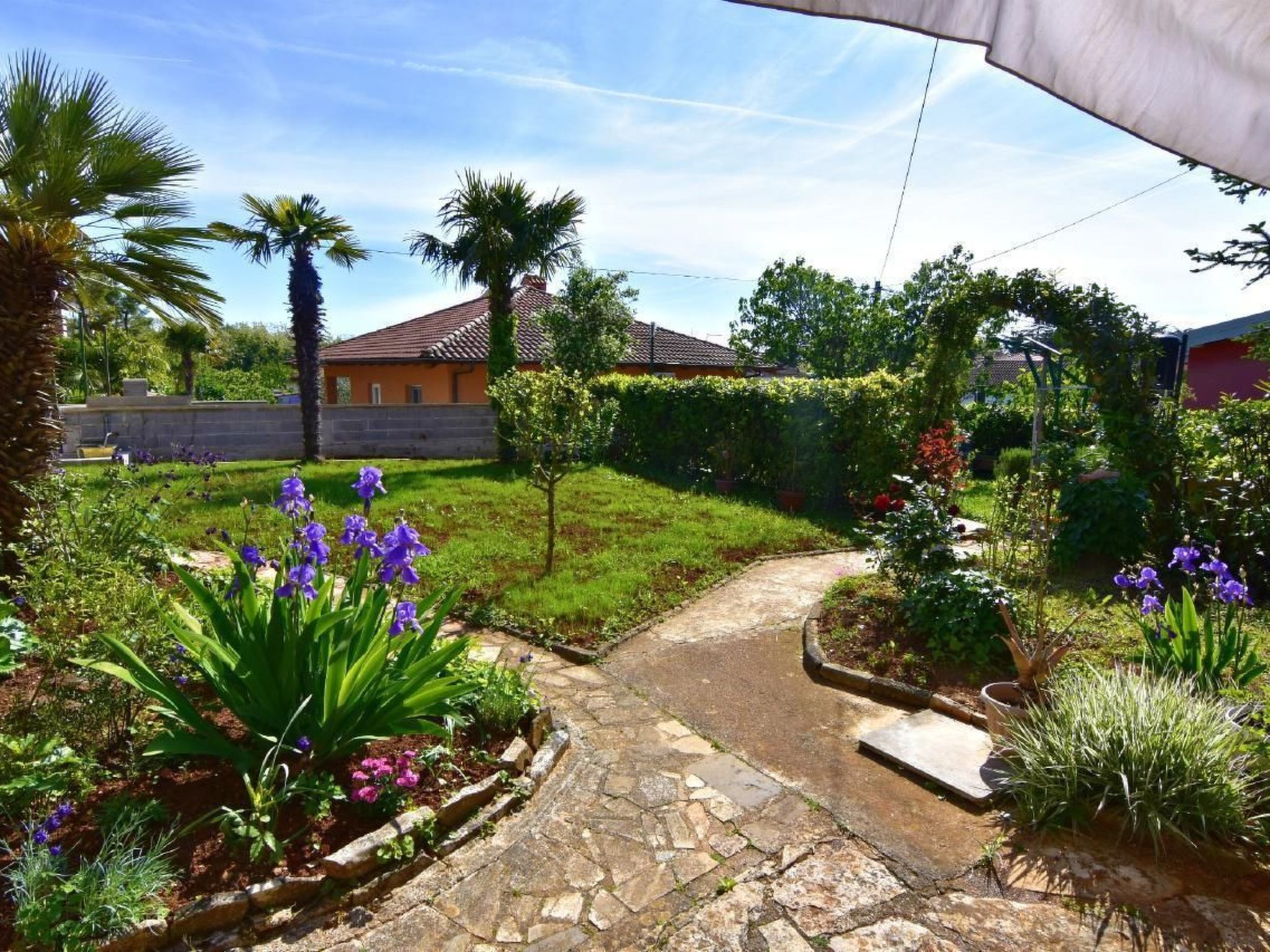 NEŽA B4-Image-tags.info